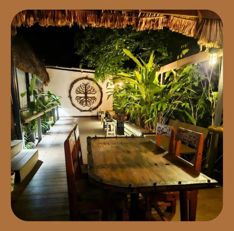 Restaurant/places to eat in Wild Orchid