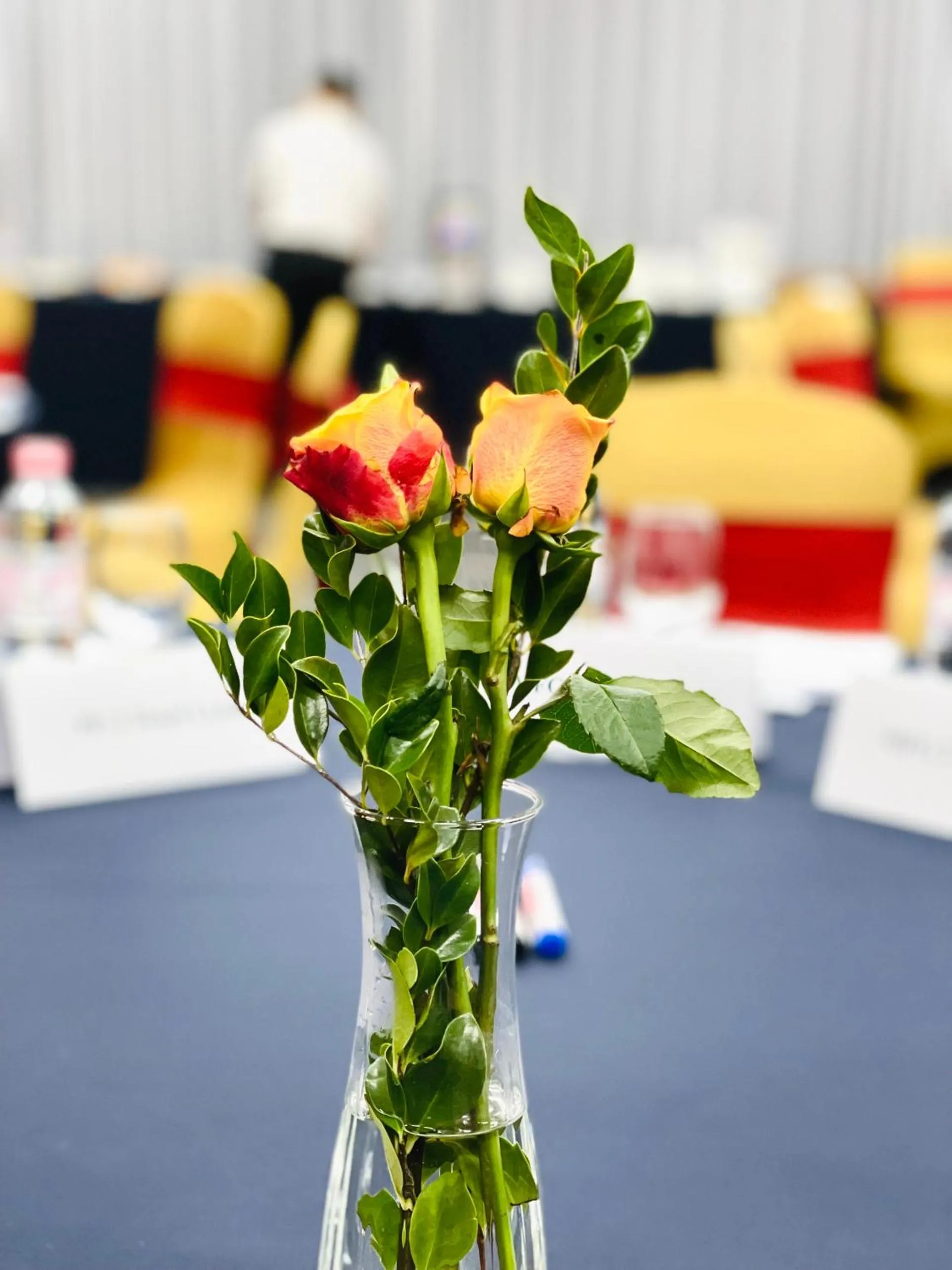 Business facilities in KOVIE HOTEL