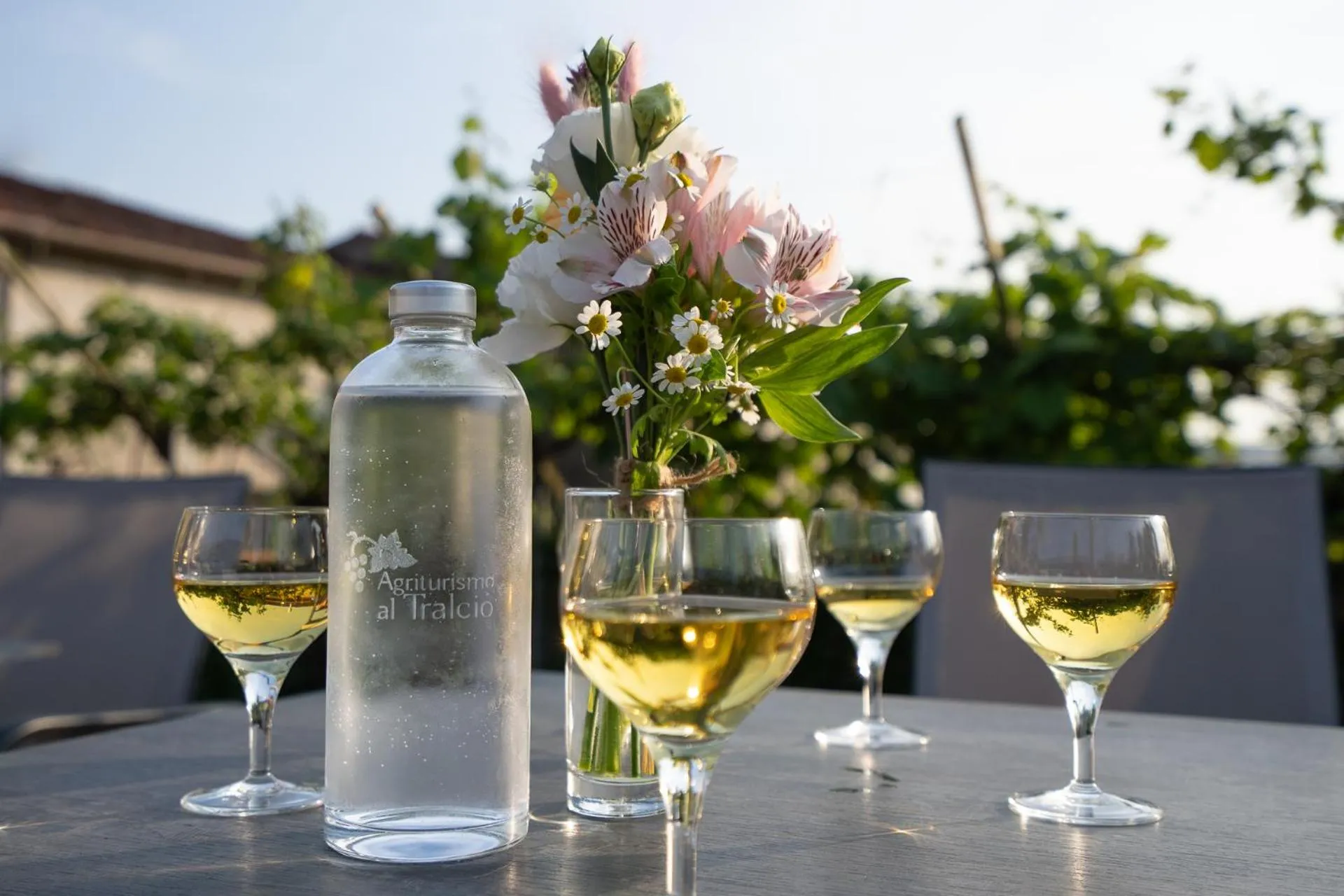 Drinks in Agriturismo Al Tralcio