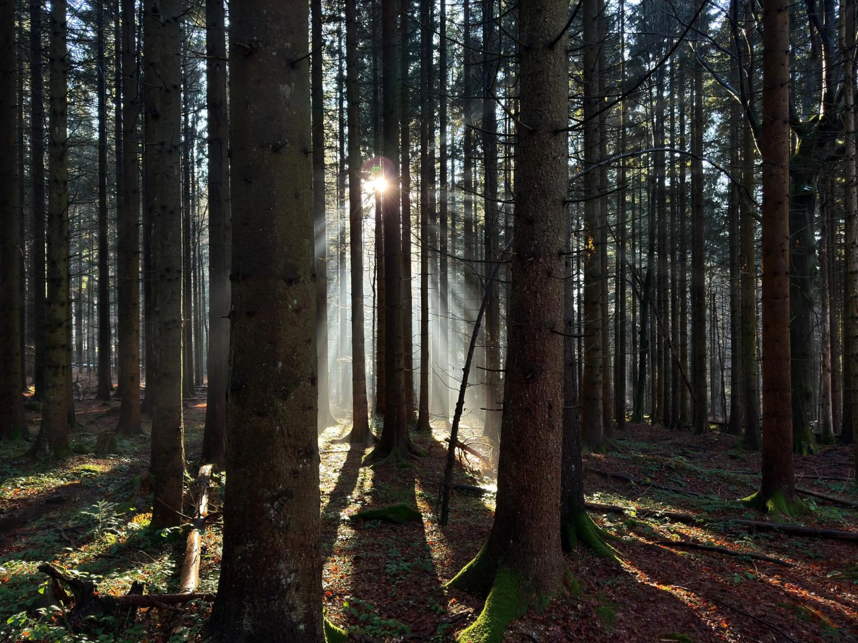Hiking in Maiers Hotel