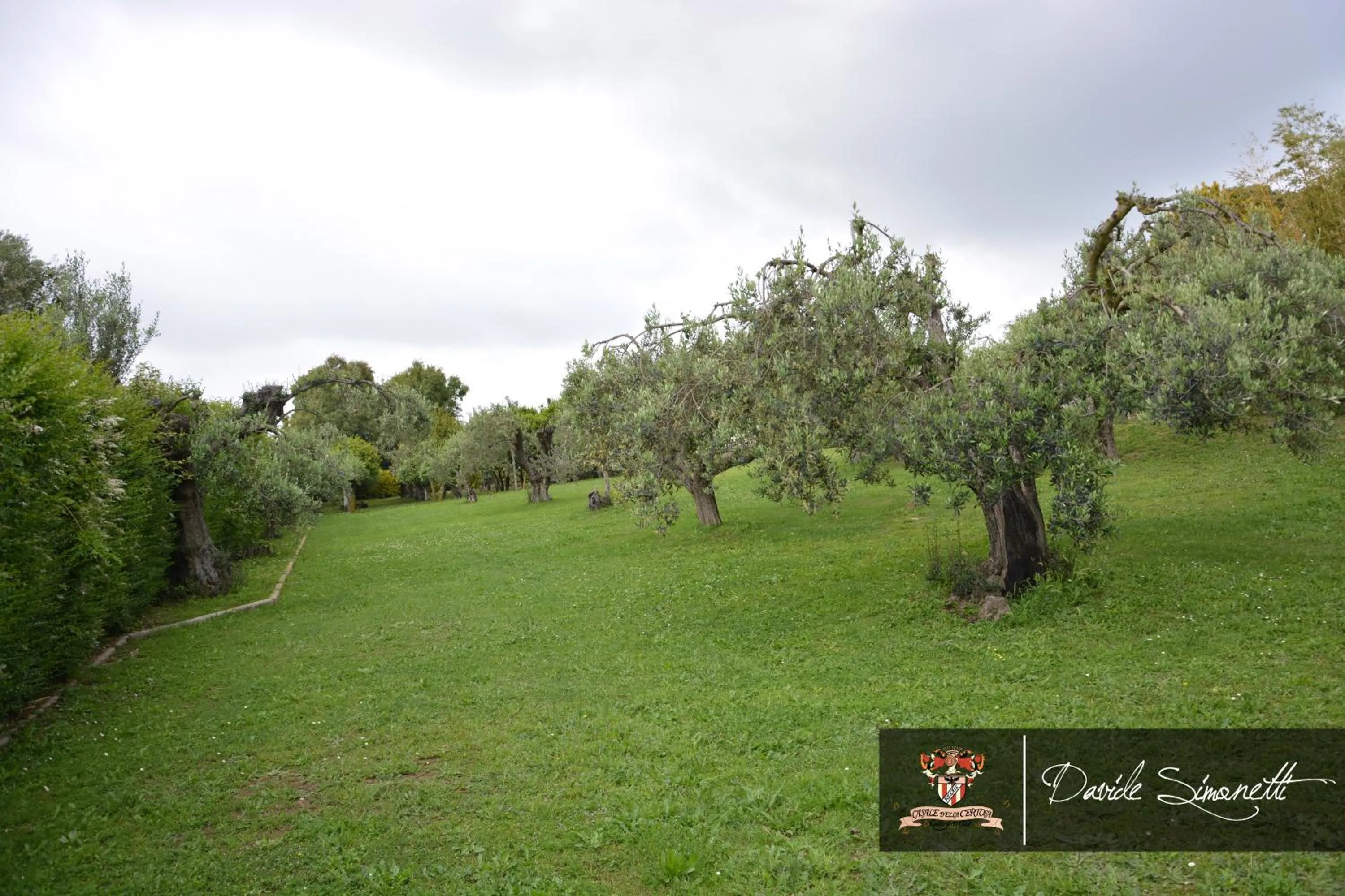Garden in Casale Certosa