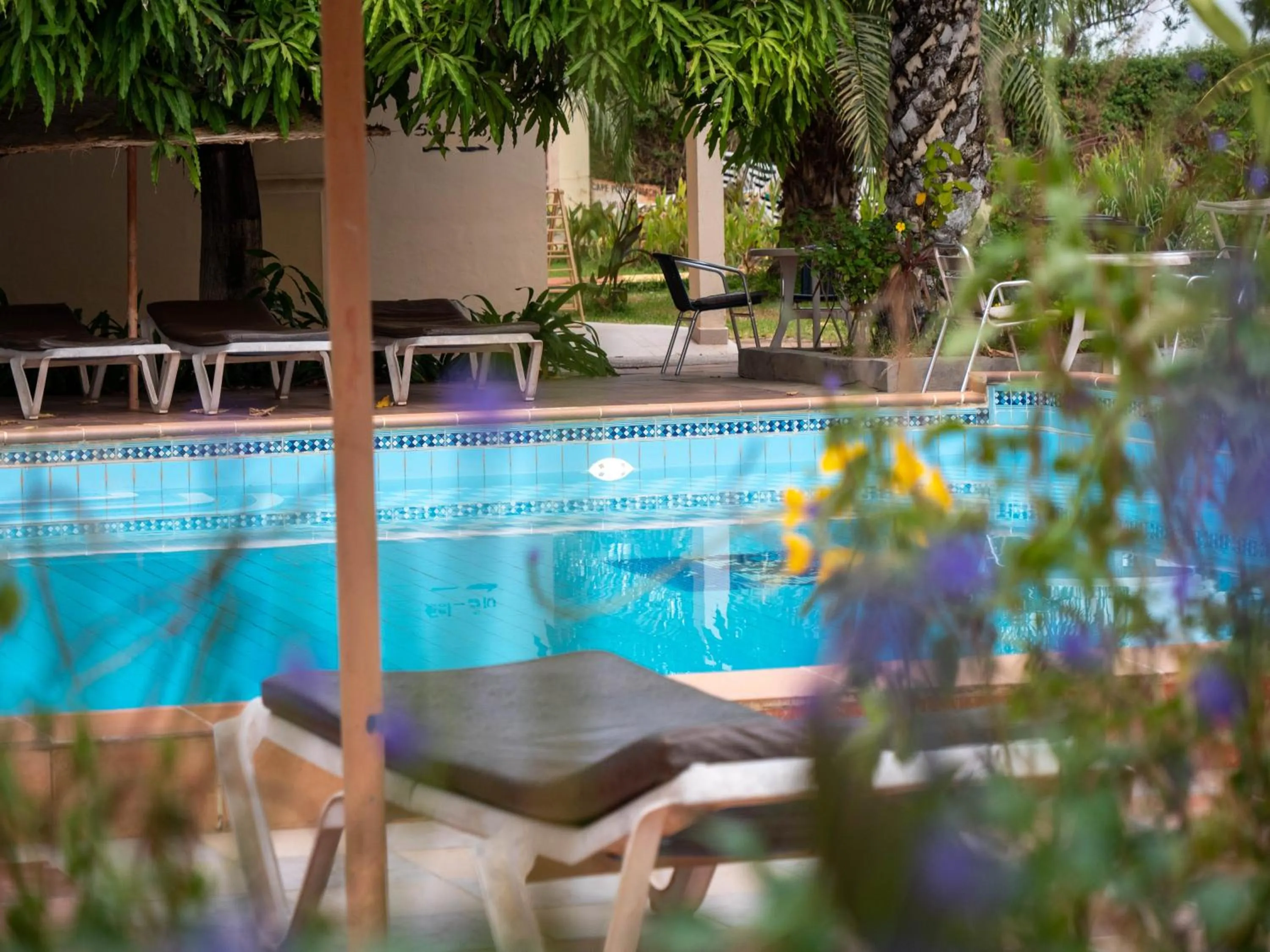 Ski School in Cape Point Hotel