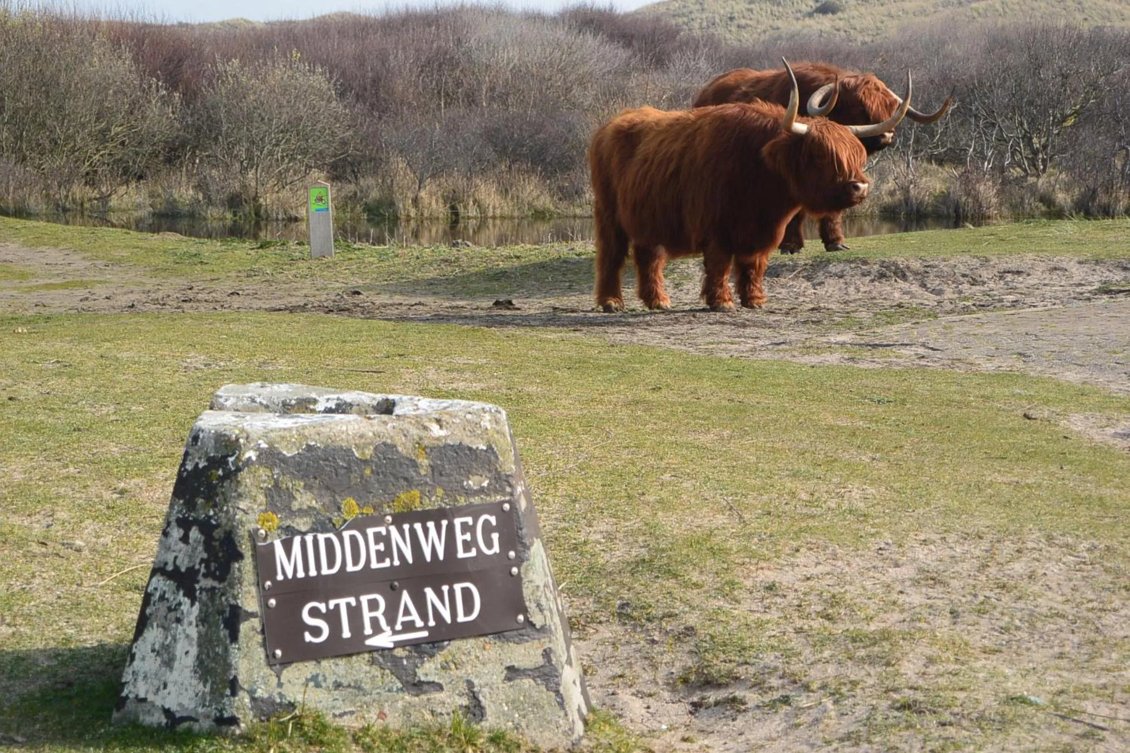 Natural landscape in Strandhotel Golfzang