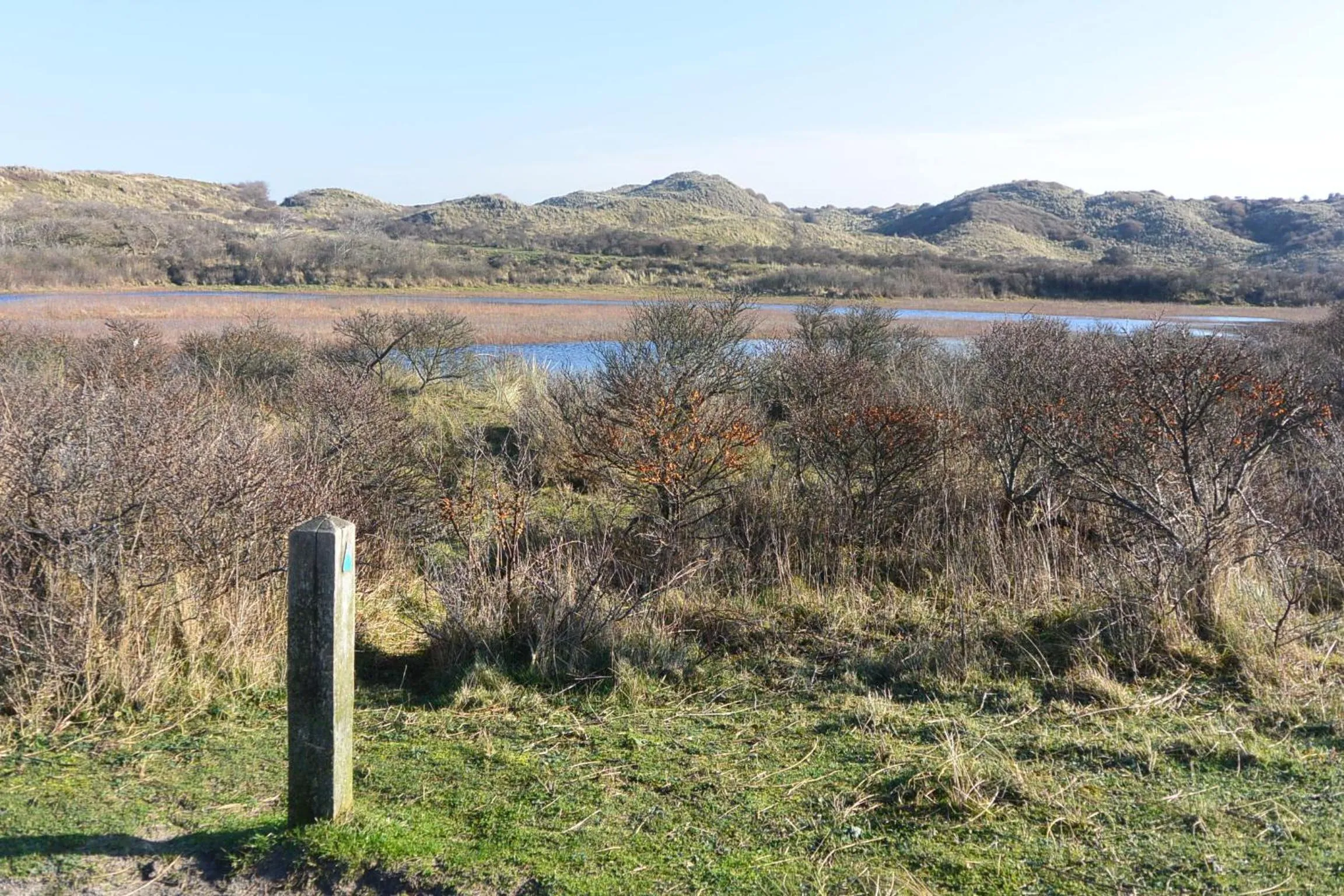Natural landscape in Strandhotel Golfzang