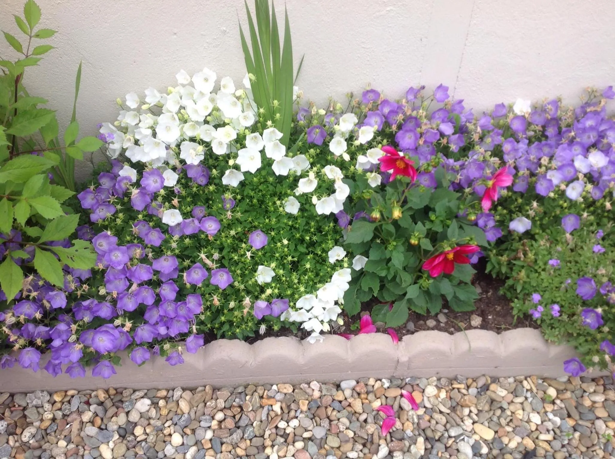 Natural landscape in Barrow View B&B continental breakfast
