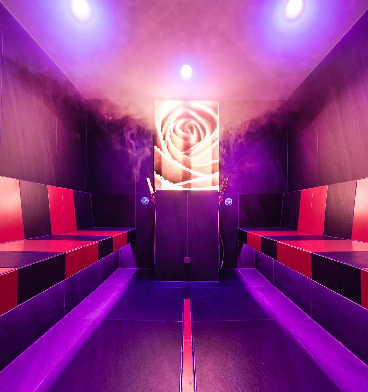 Spa and wellness centre/facilities in Hotel Rosa Eco Alpine Spa