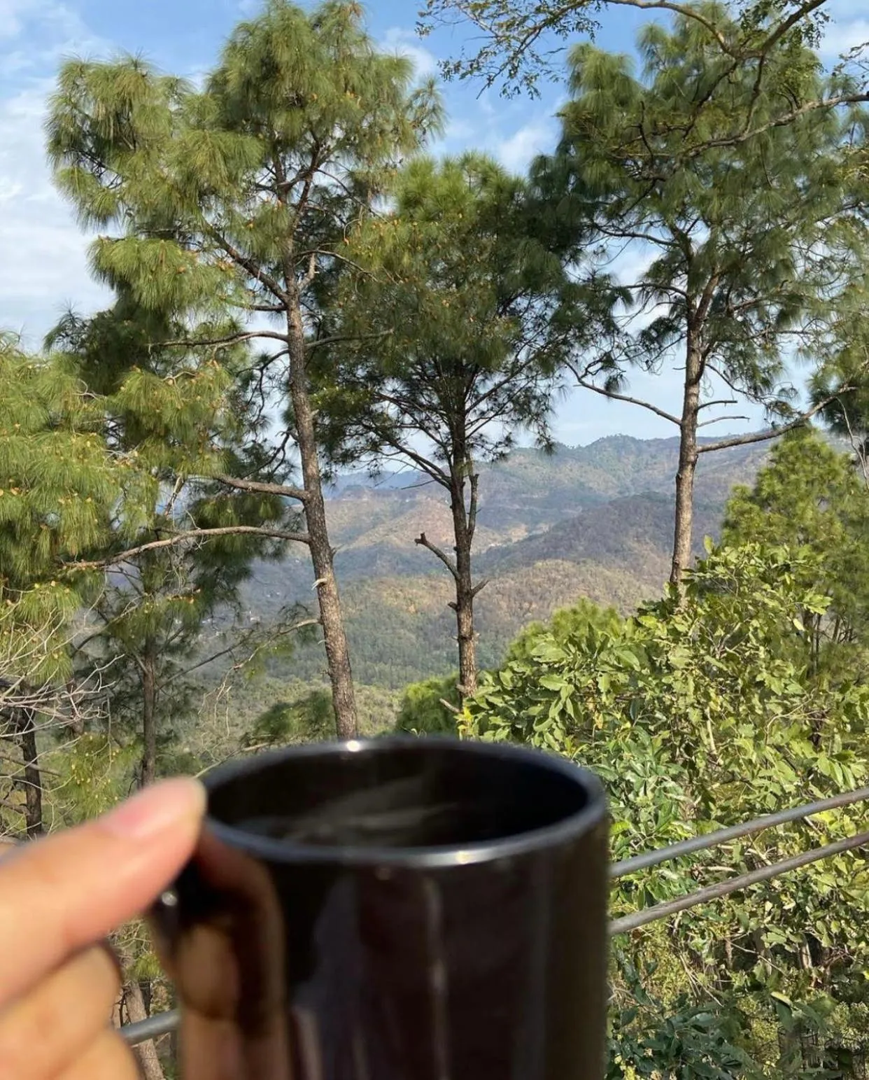 Mountain view in Seclude Nahan, Bantony Cottage