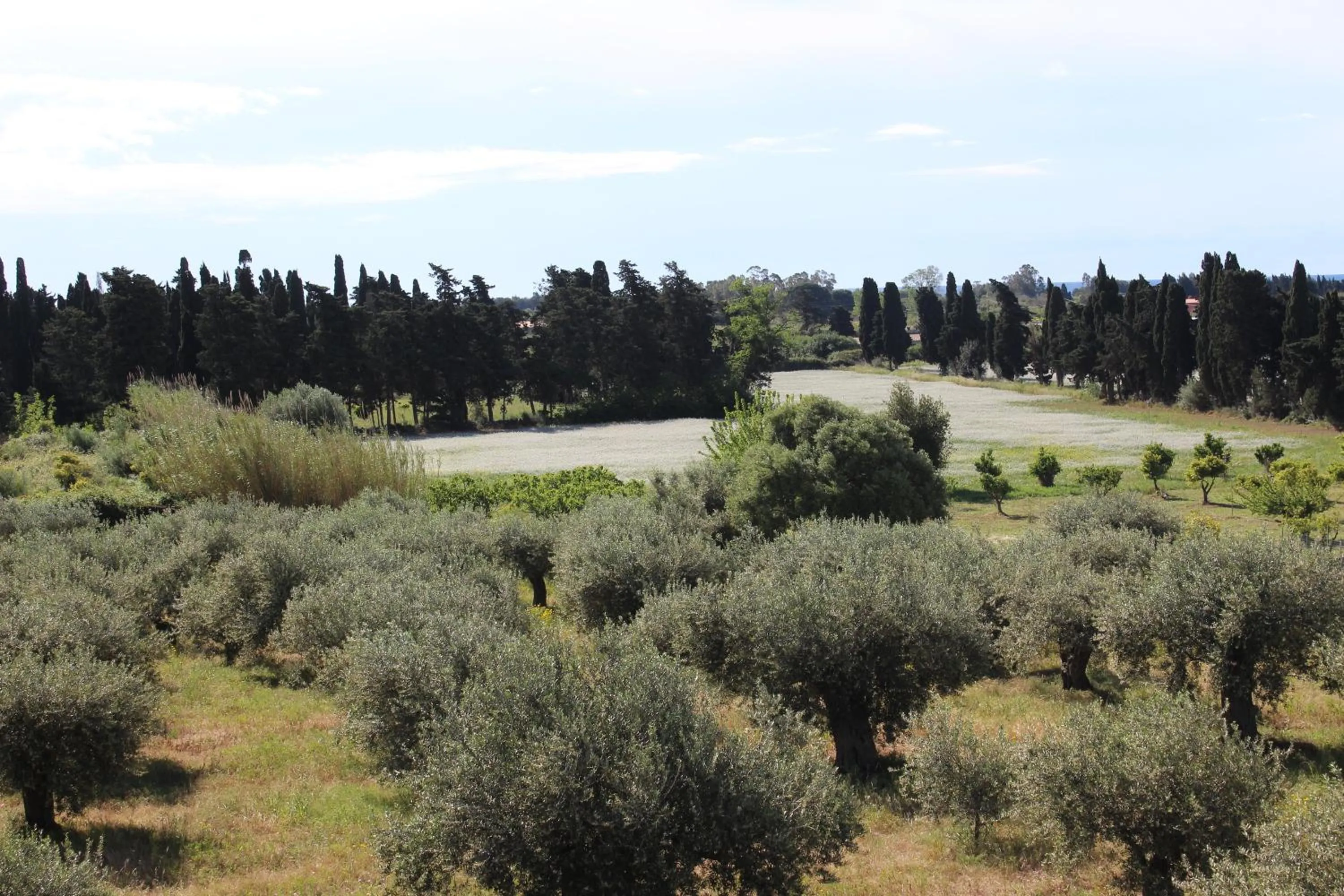 View (from property/room) in Hotel Baia Marina