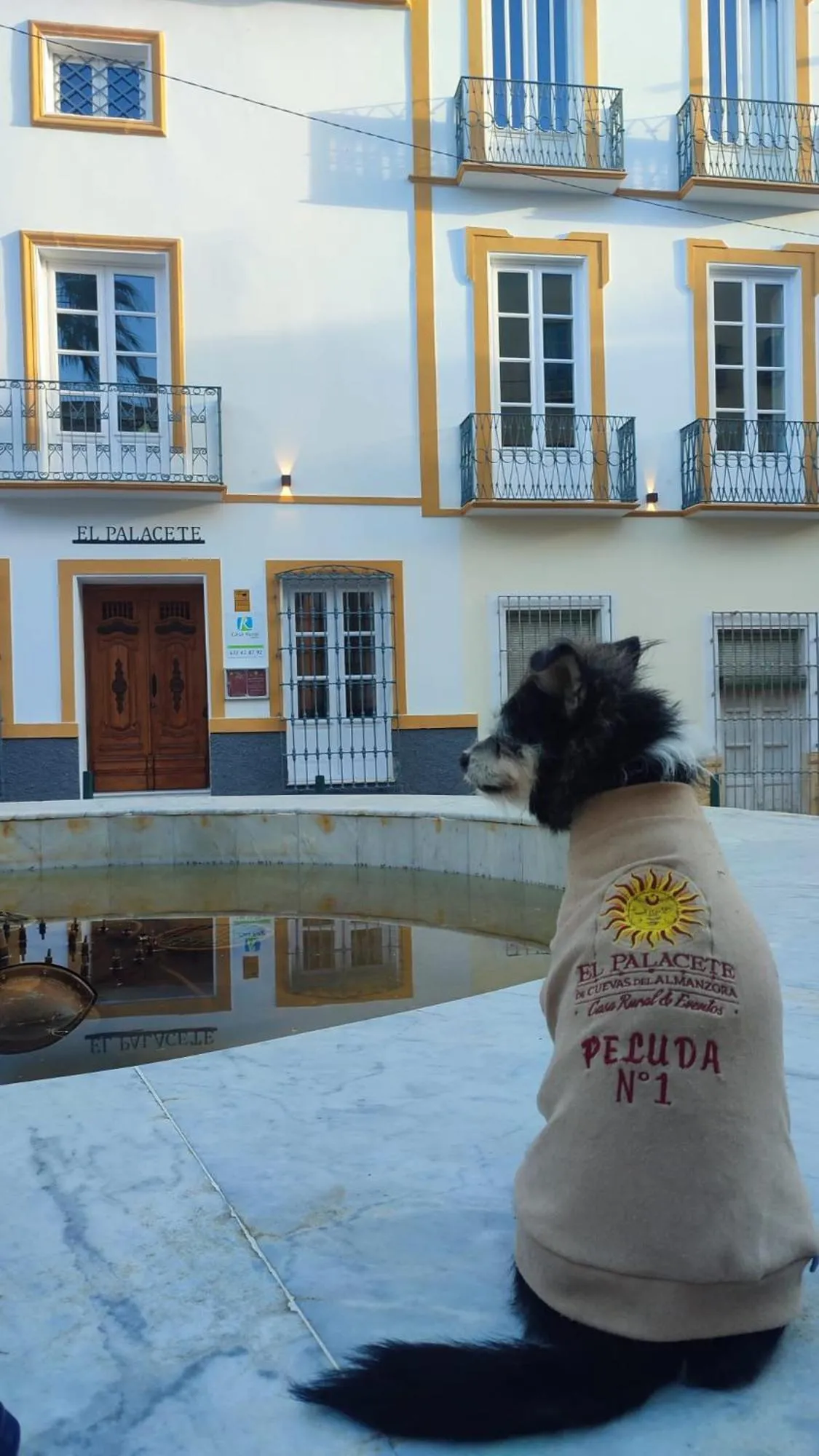 pet friendly in El Palacete de Cuevas