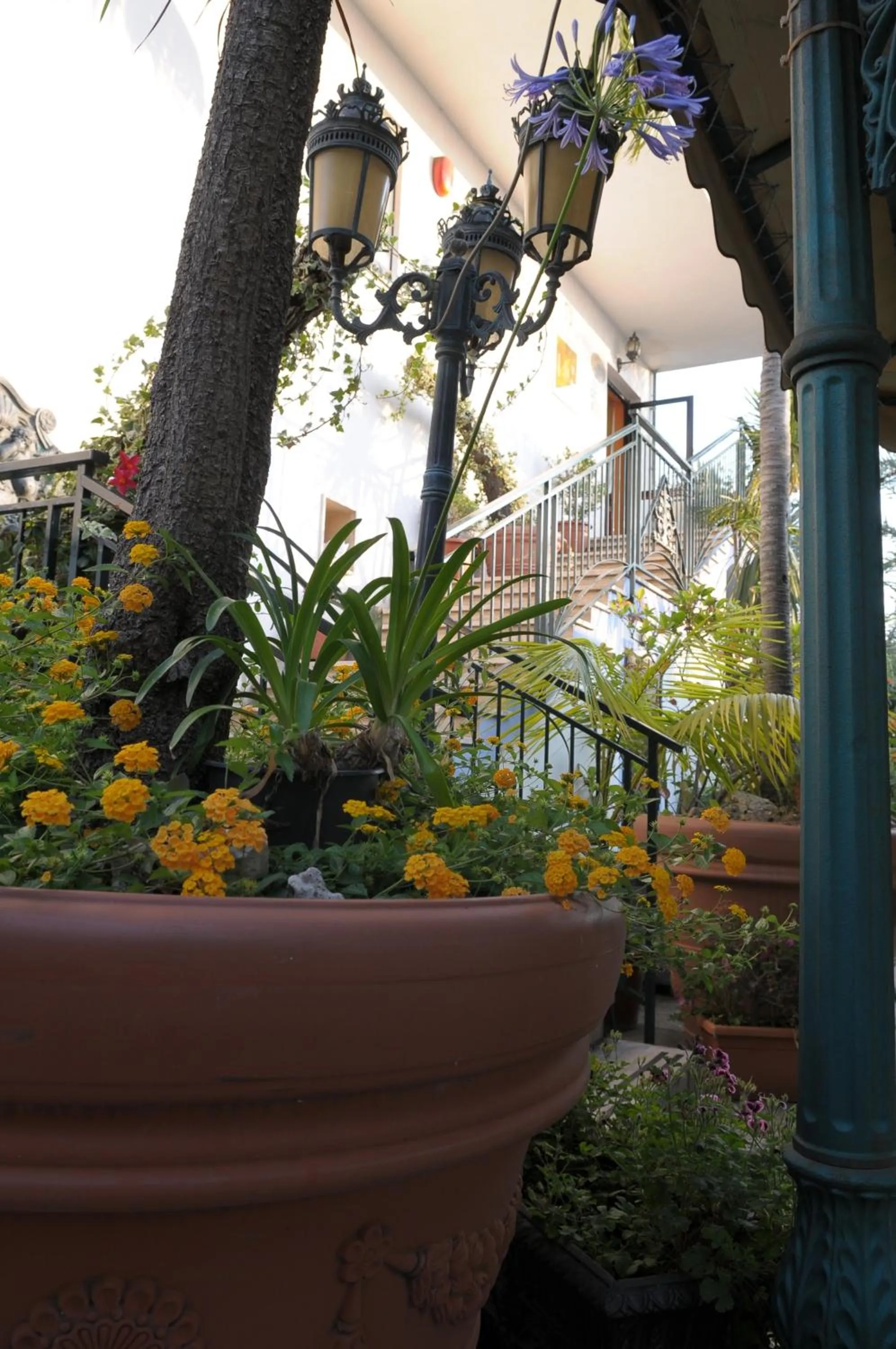 Other in Hotel Blumentag