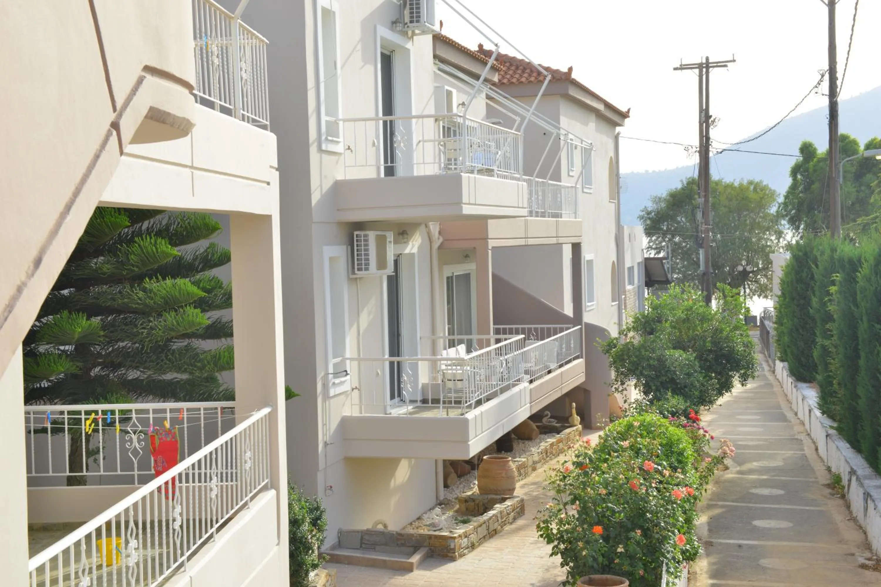 Bird's eye view in Korali