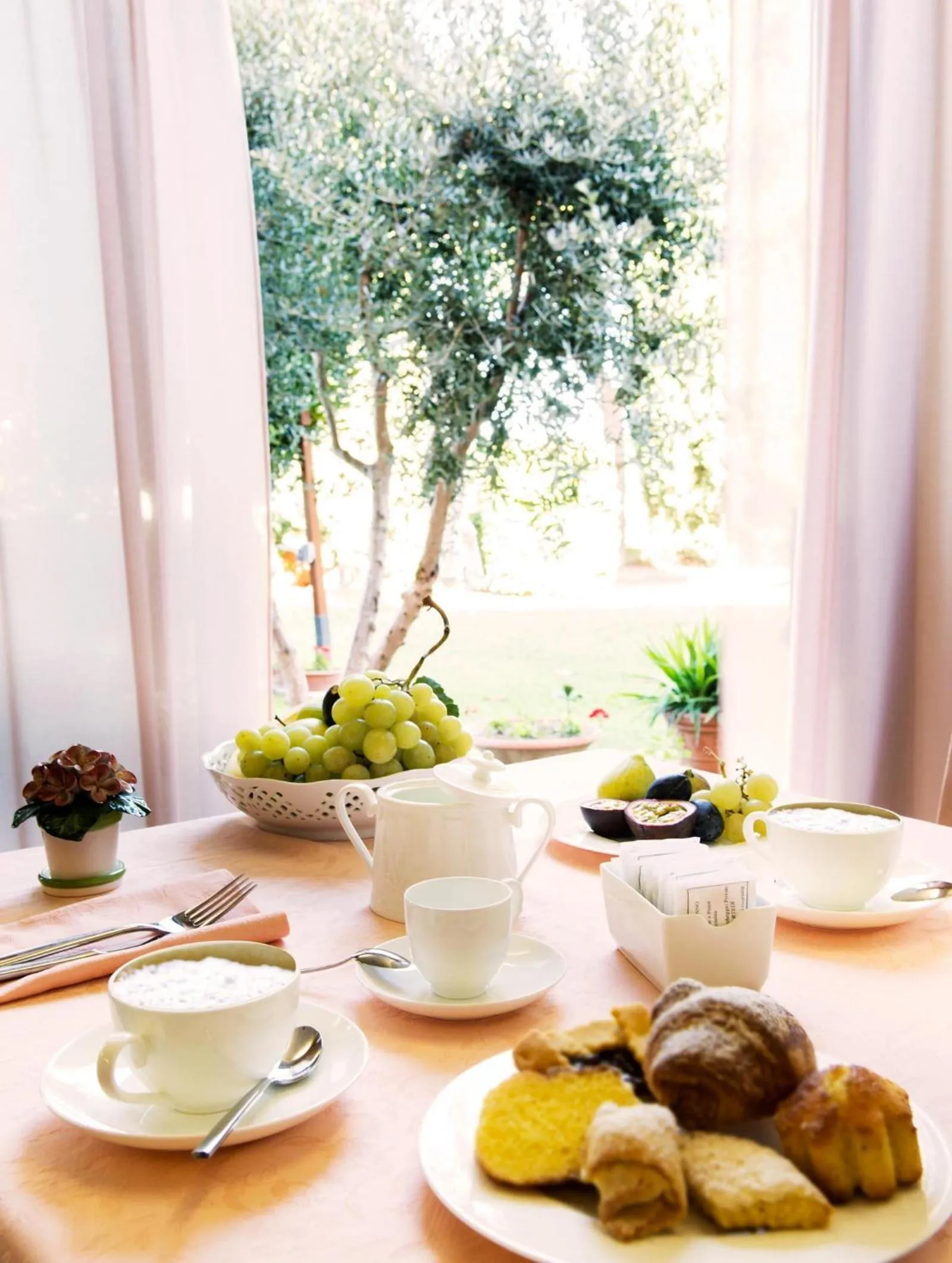 Garden in Hotel Torresi