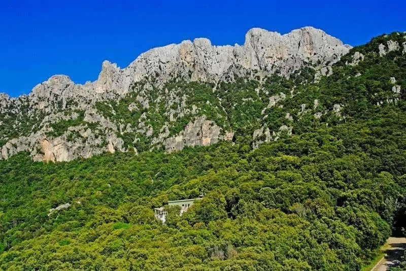 Natural landscape in S'Enis Monte Maccione