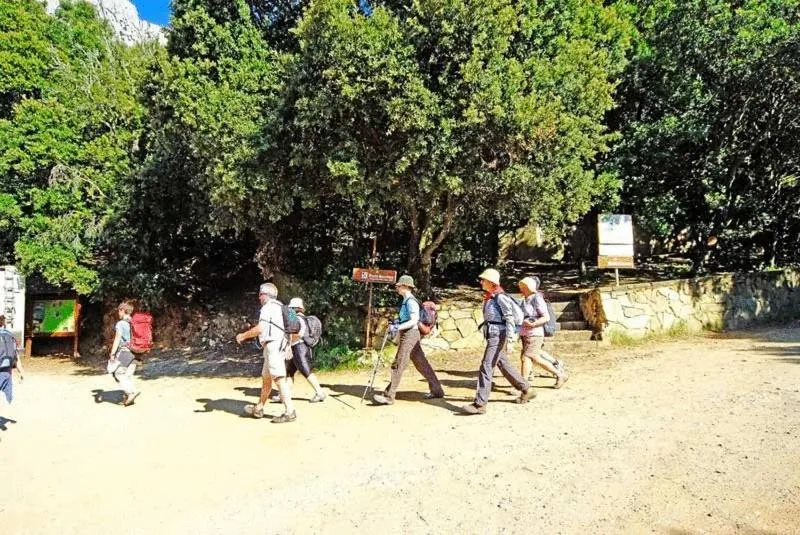 group of guests in S'Enis Monte Maccione