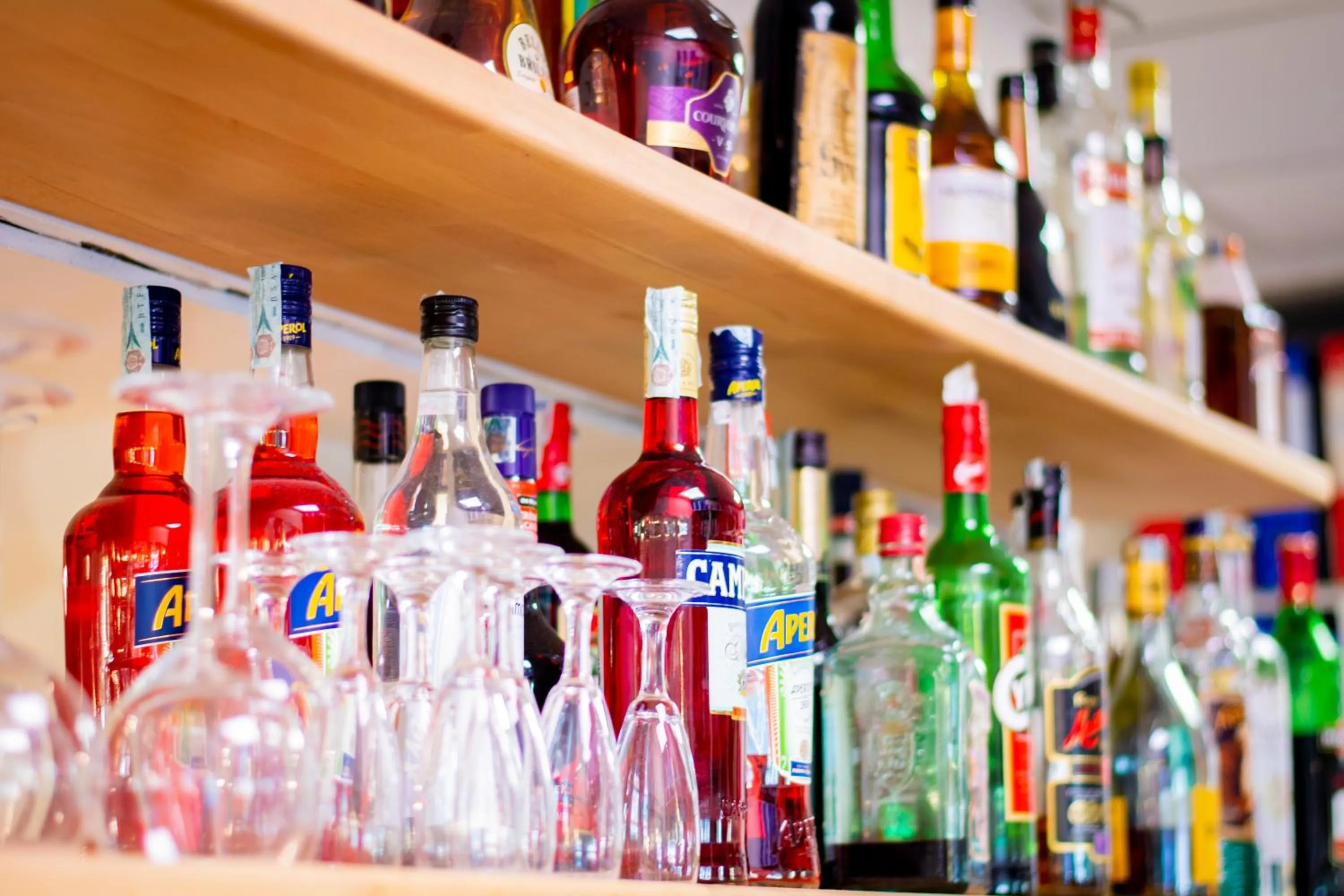 Lounge or bar in Hotel Delle Mimose