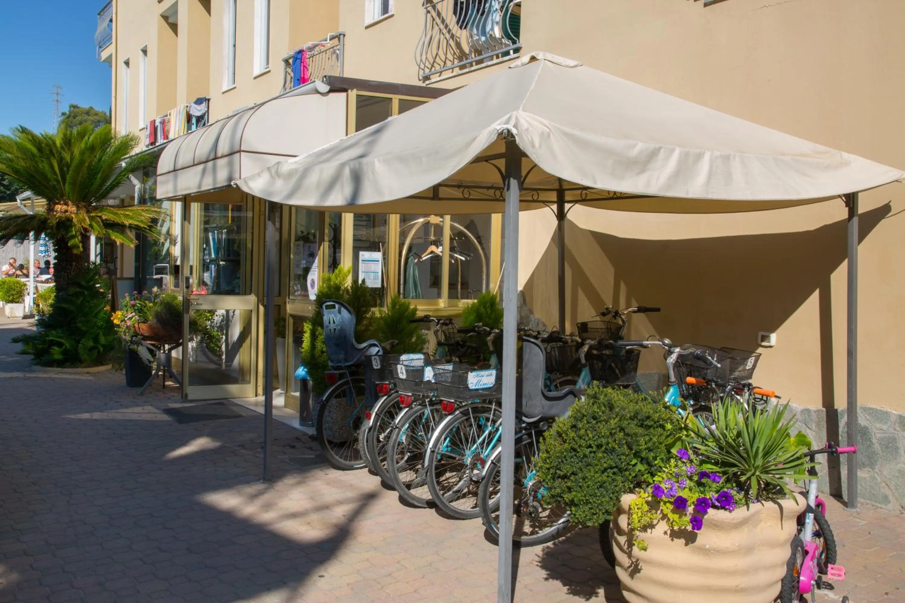 Area and facilities in Hotel Delle Mimose