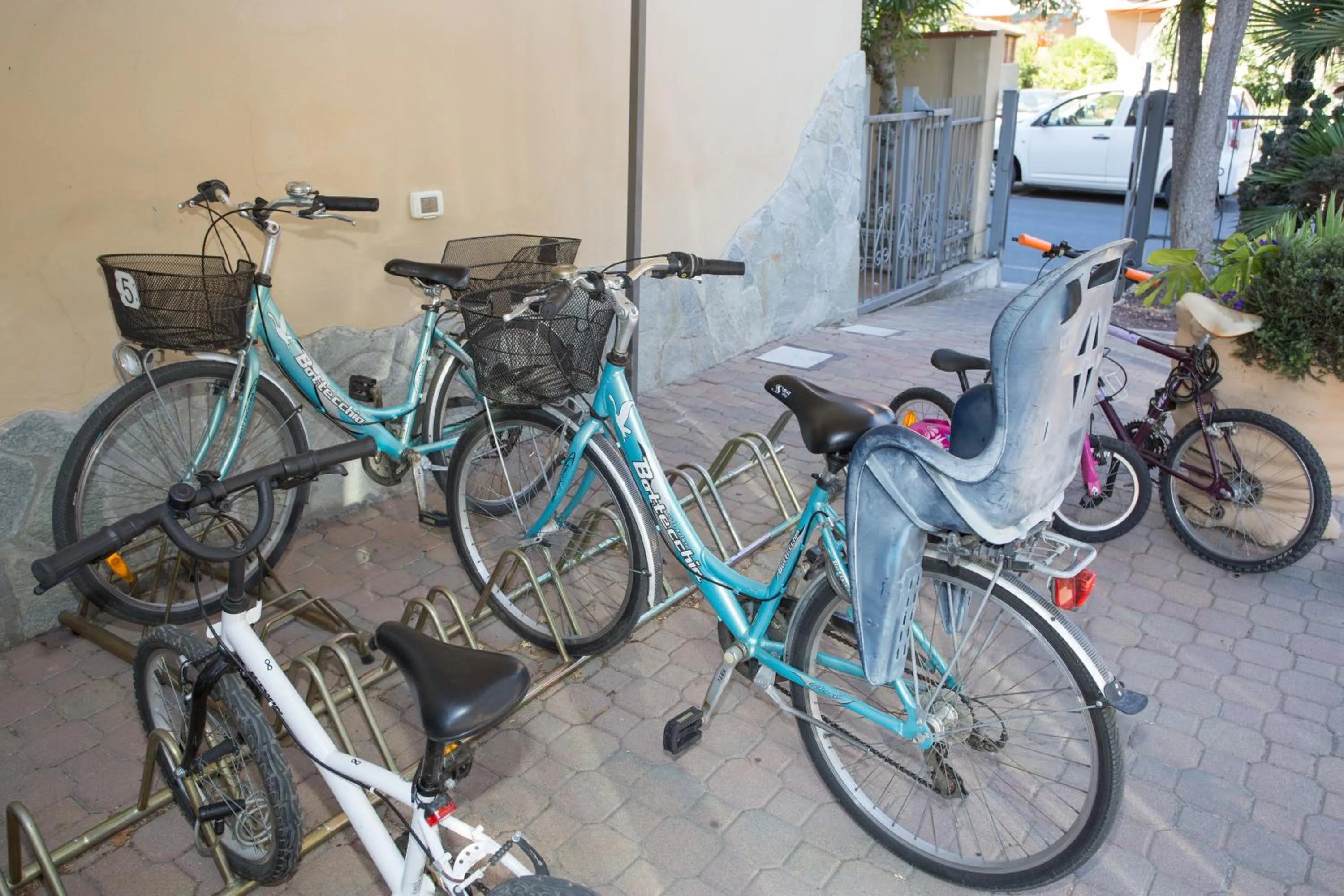 Area and facilities in Hotel Delle Mimose