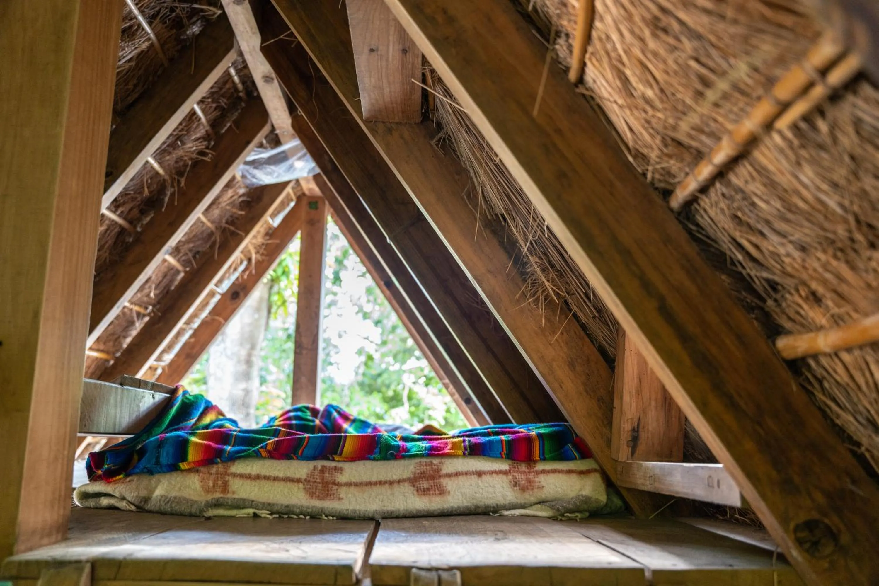 Bed in La Iguana Perdida