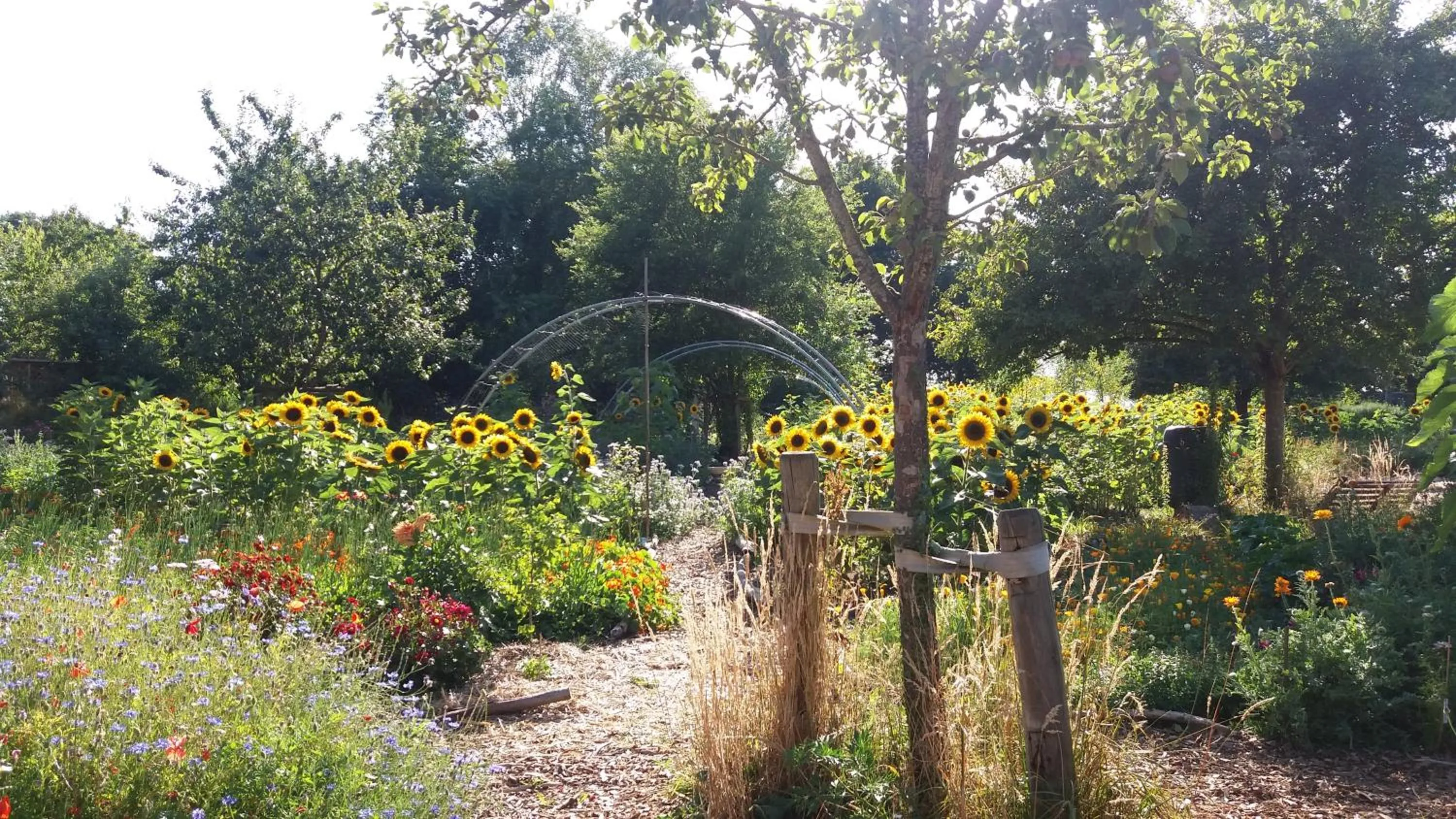Garden in De Geheime Tuin - Huisje in 't Groen