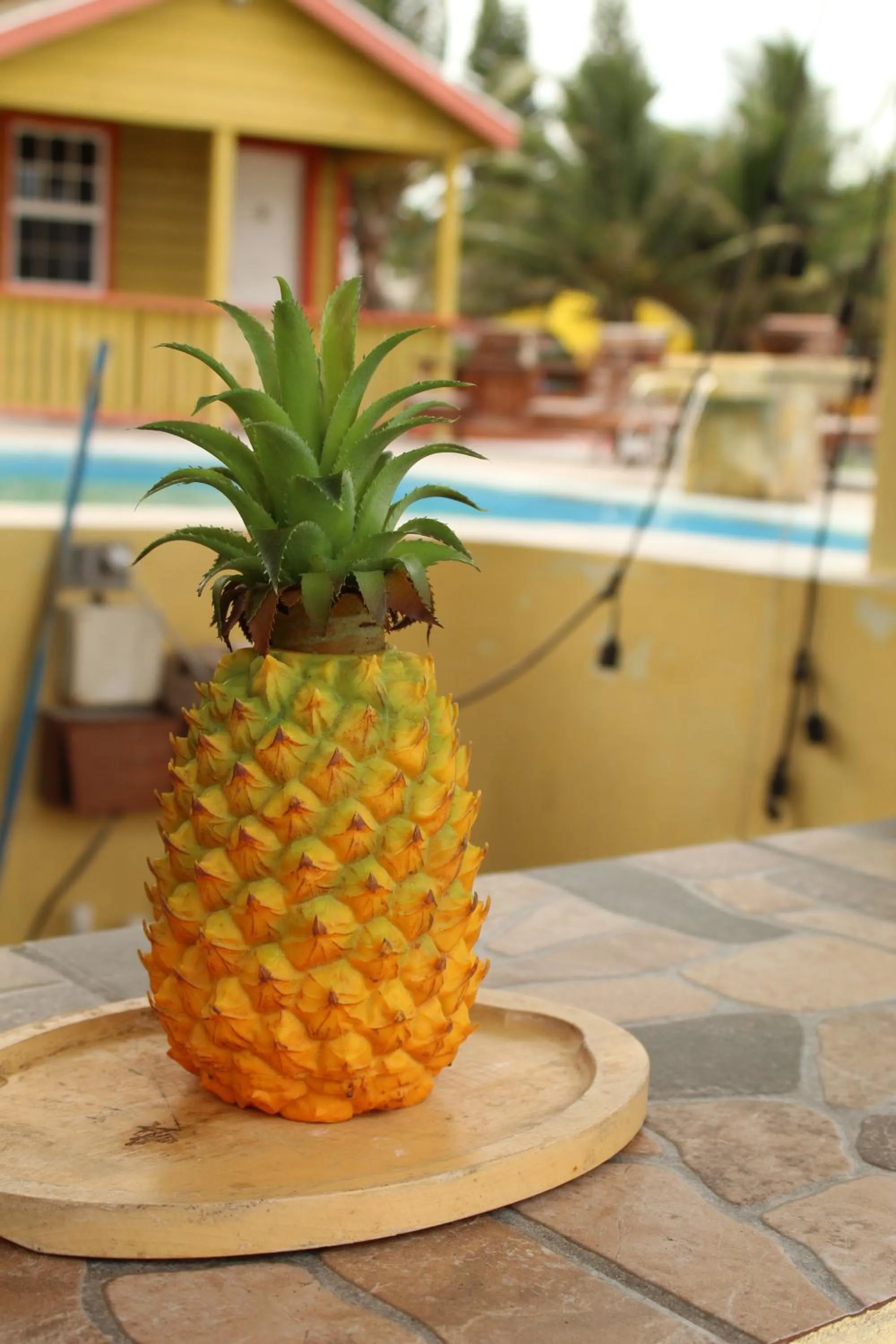 Lounge or bar in Tropical Paradise