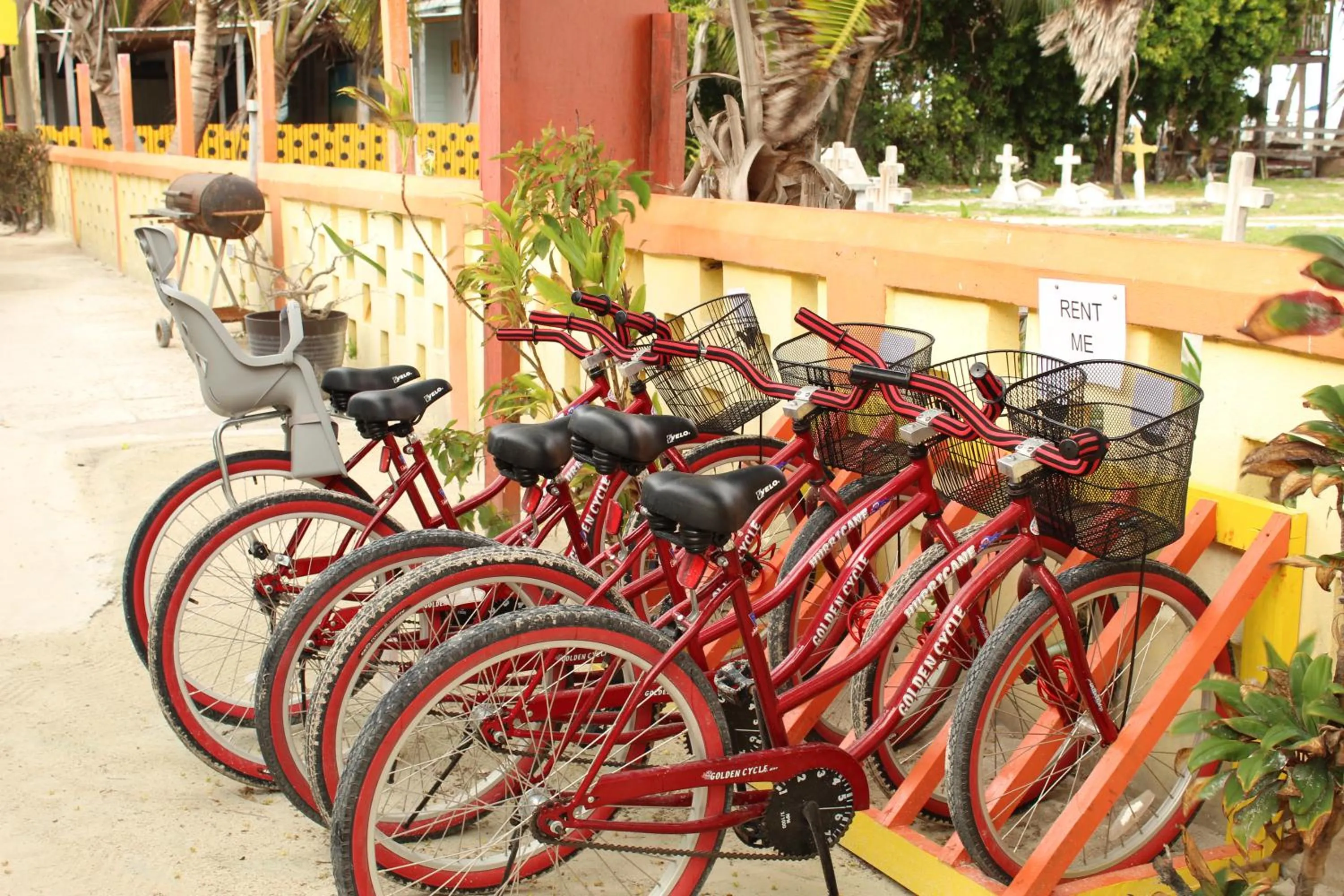Cycling in Tropical Paradise