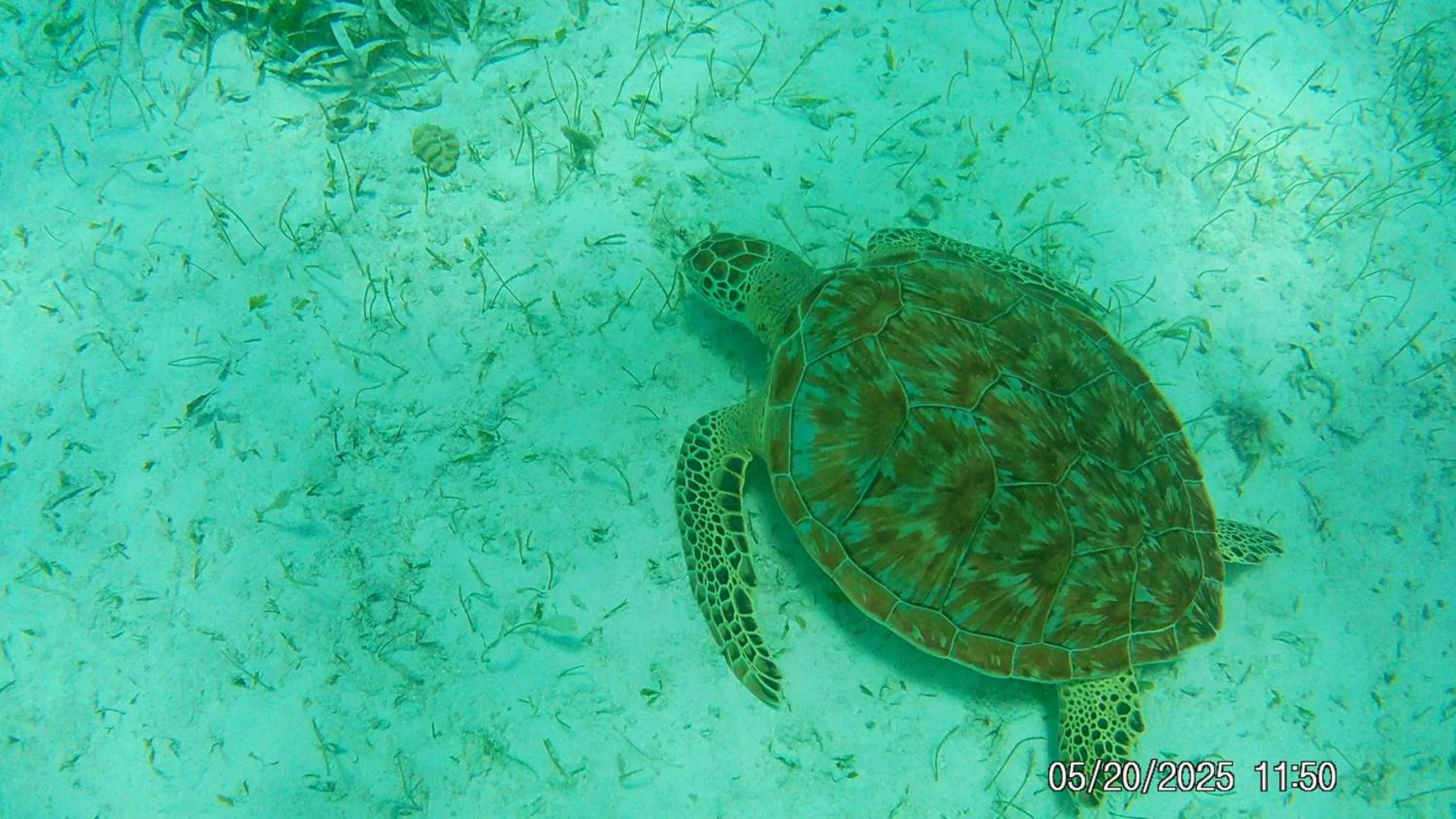 Activities in Tropical Paradise