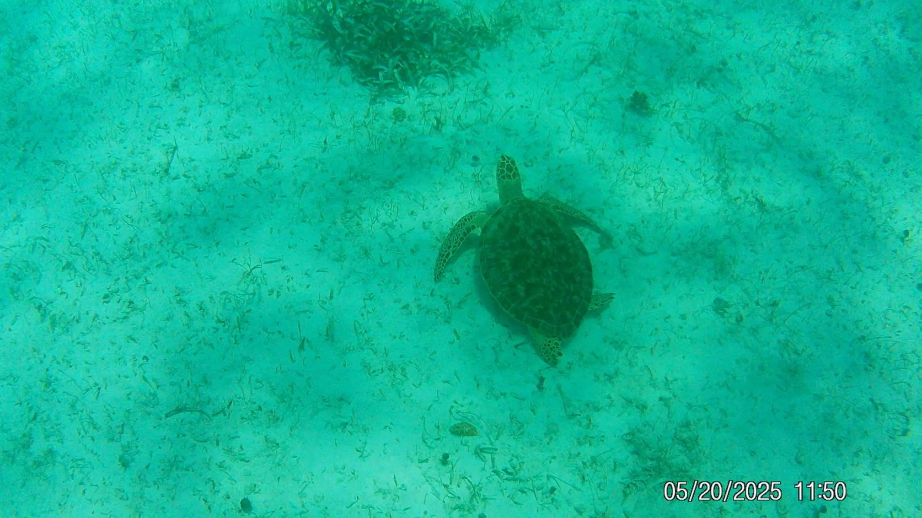 Activities in Tropical Paradise