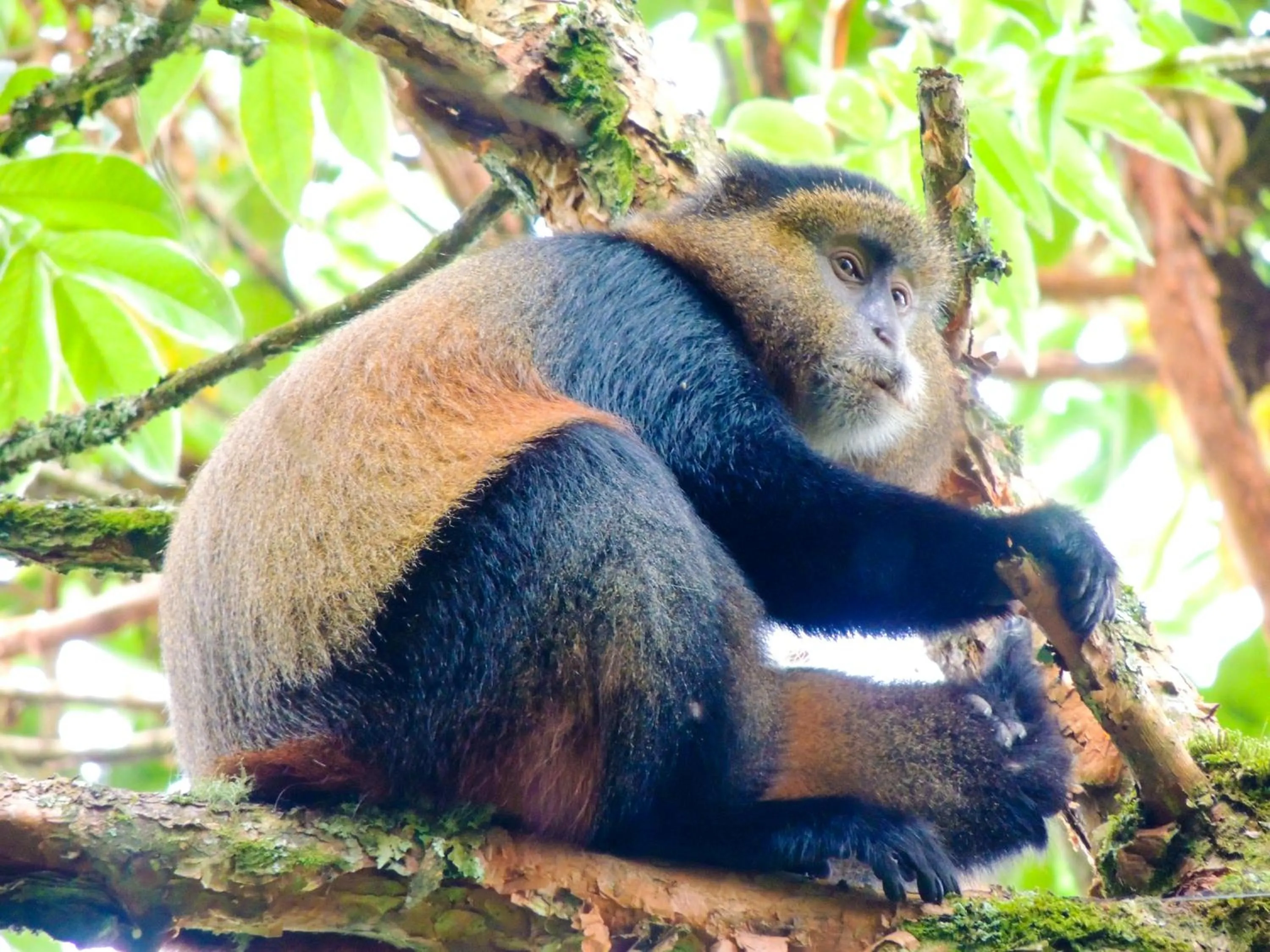 Activities in Agape House Kisoro