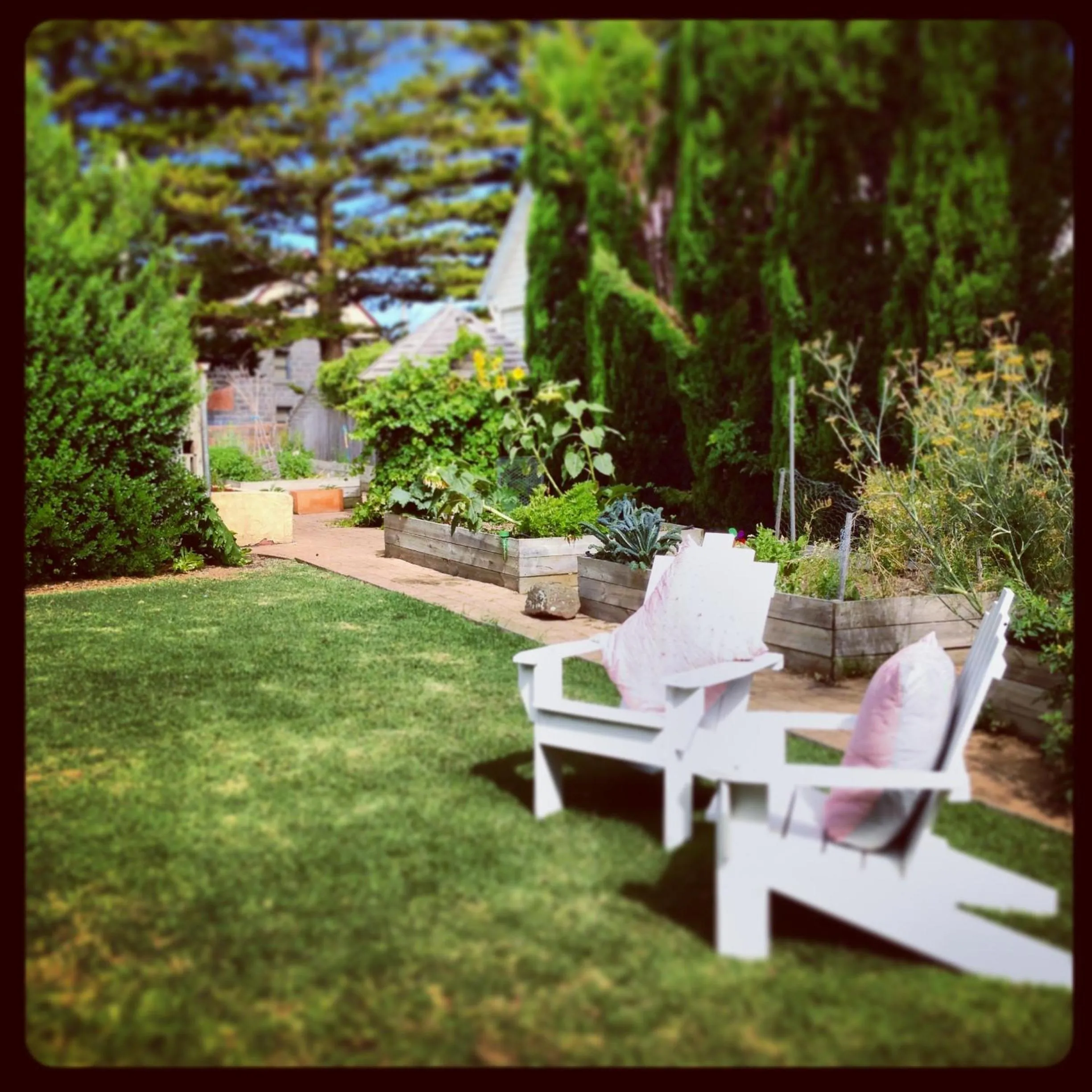 Garden in Merrijig Inn