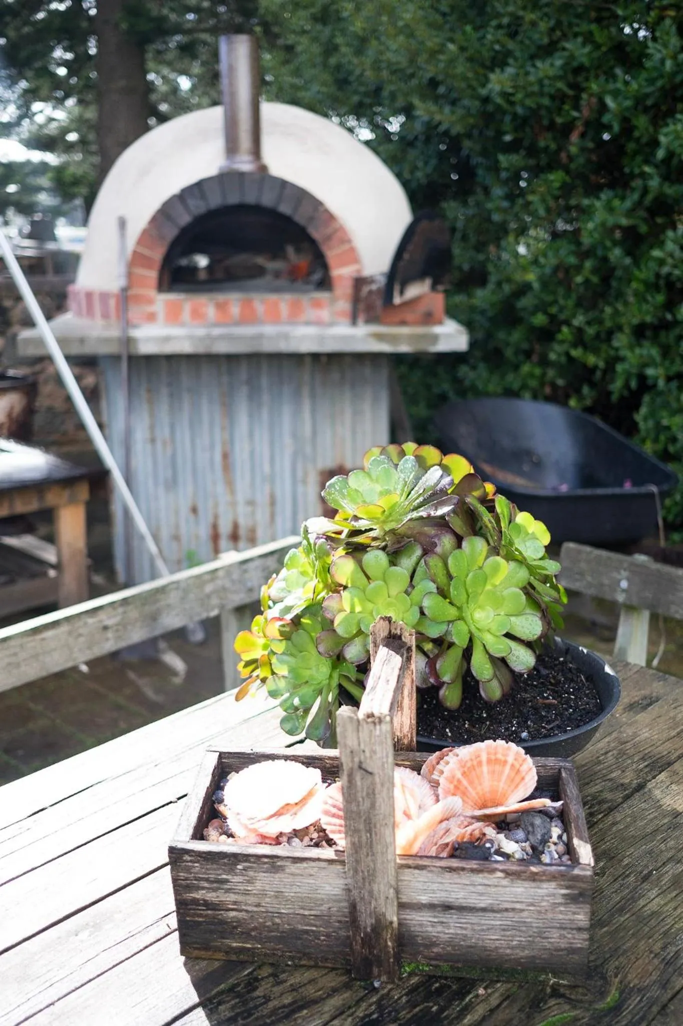 Garden in Merrijig Inn