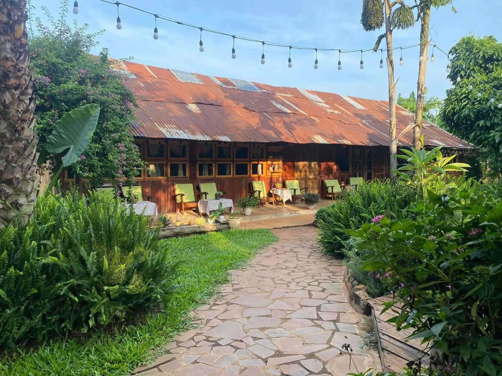 View (from property/room) in Mộc An Nhiên Farmstay