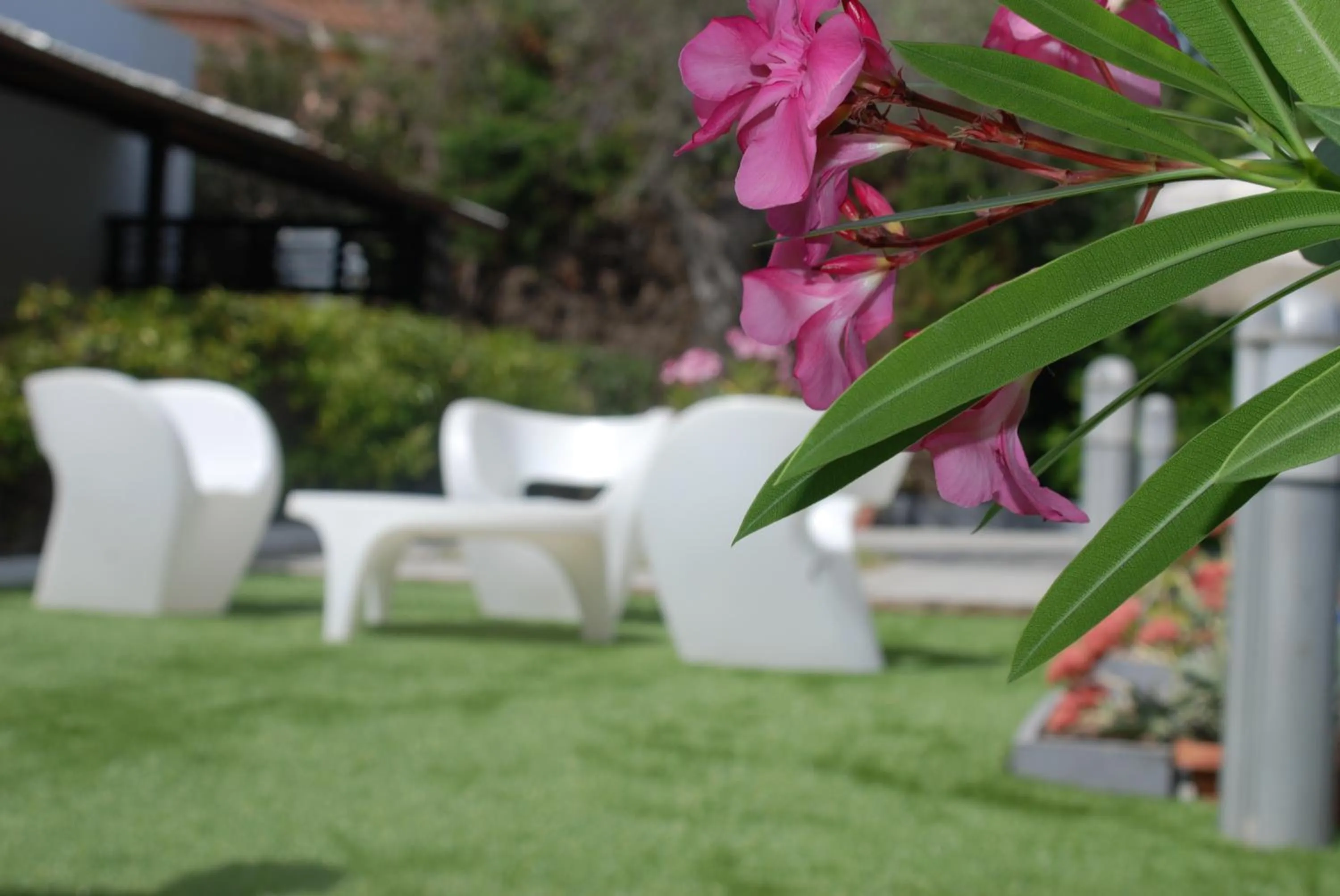 Patio in Natur Hotel Tanca