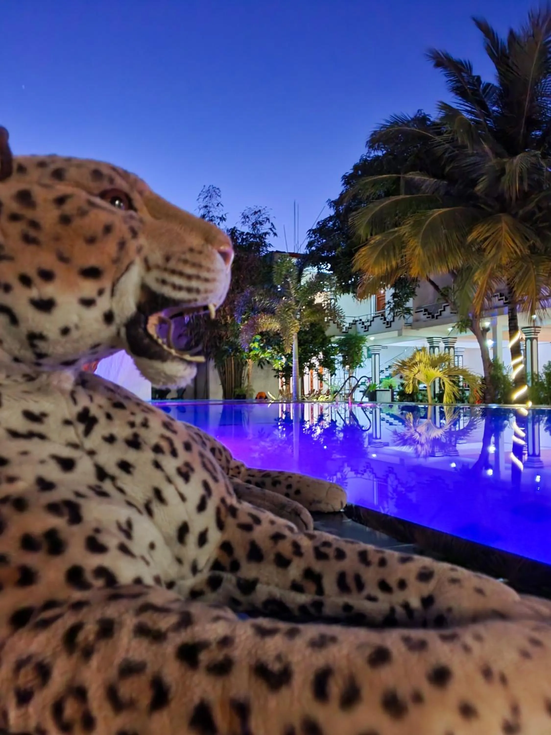 Swimming pool in Peacock Reach Hotel