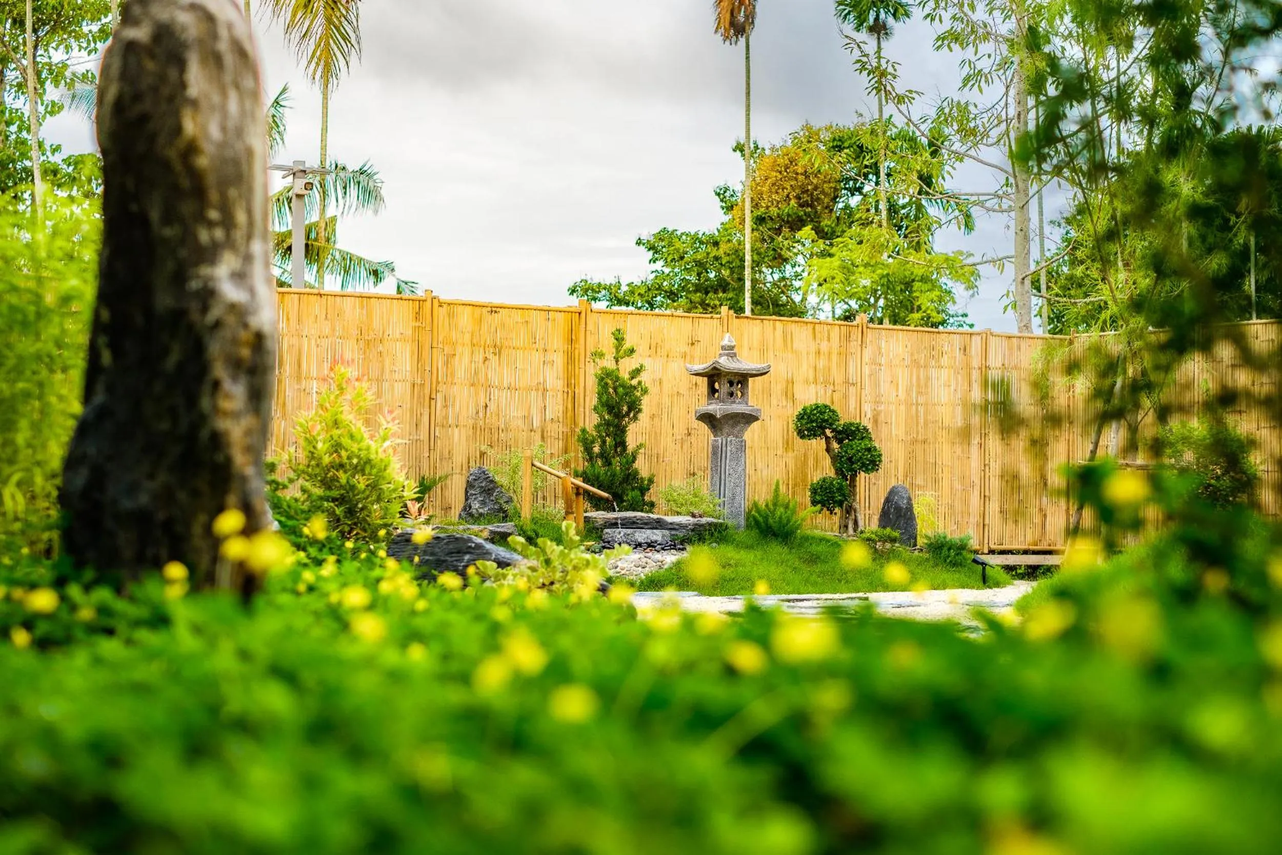 Natural landscape in ONE Chumphon Hotel