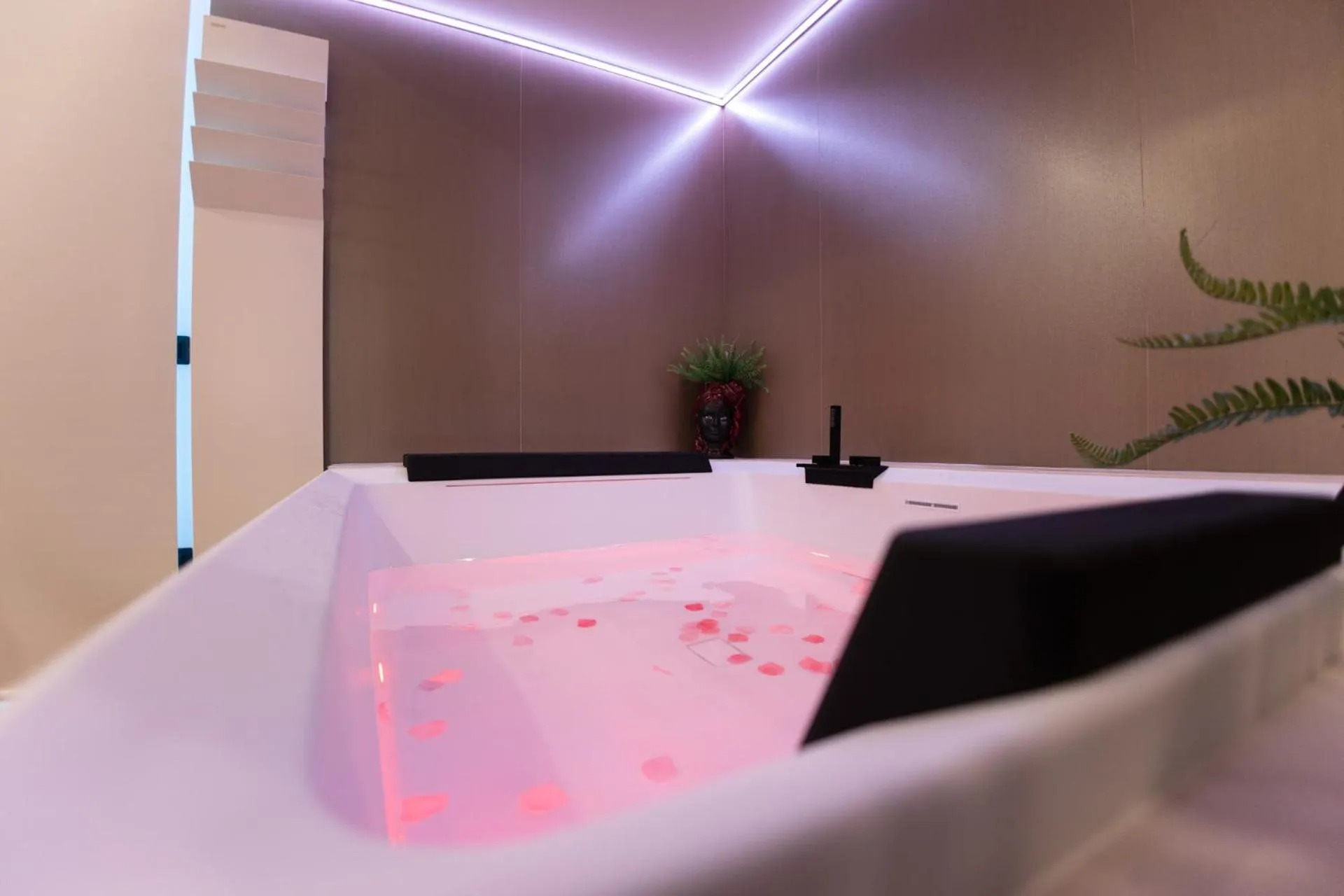 Bed in Popula Rooms & Mediterranean Bay