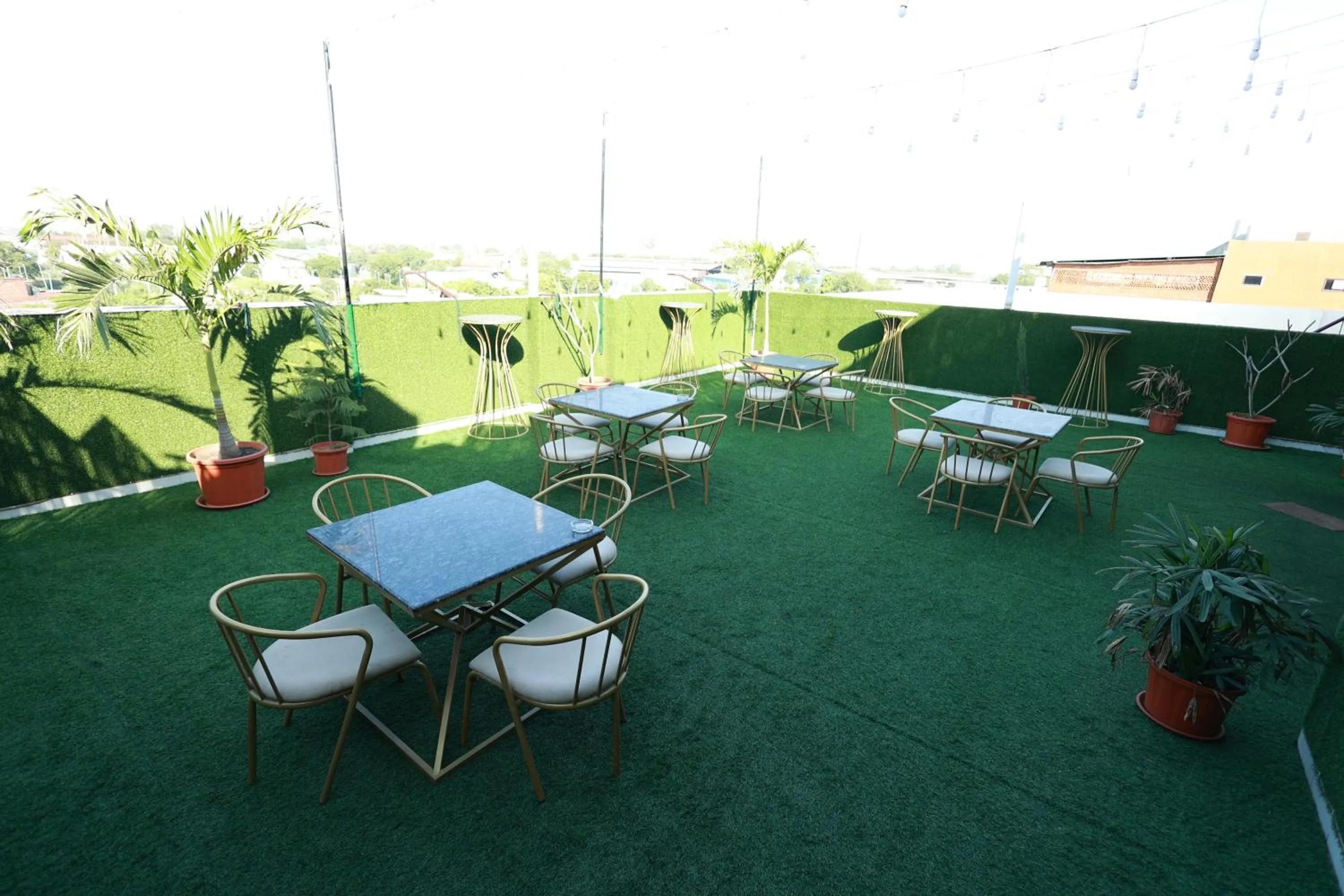 Garden view in Hotel Jai Harsh