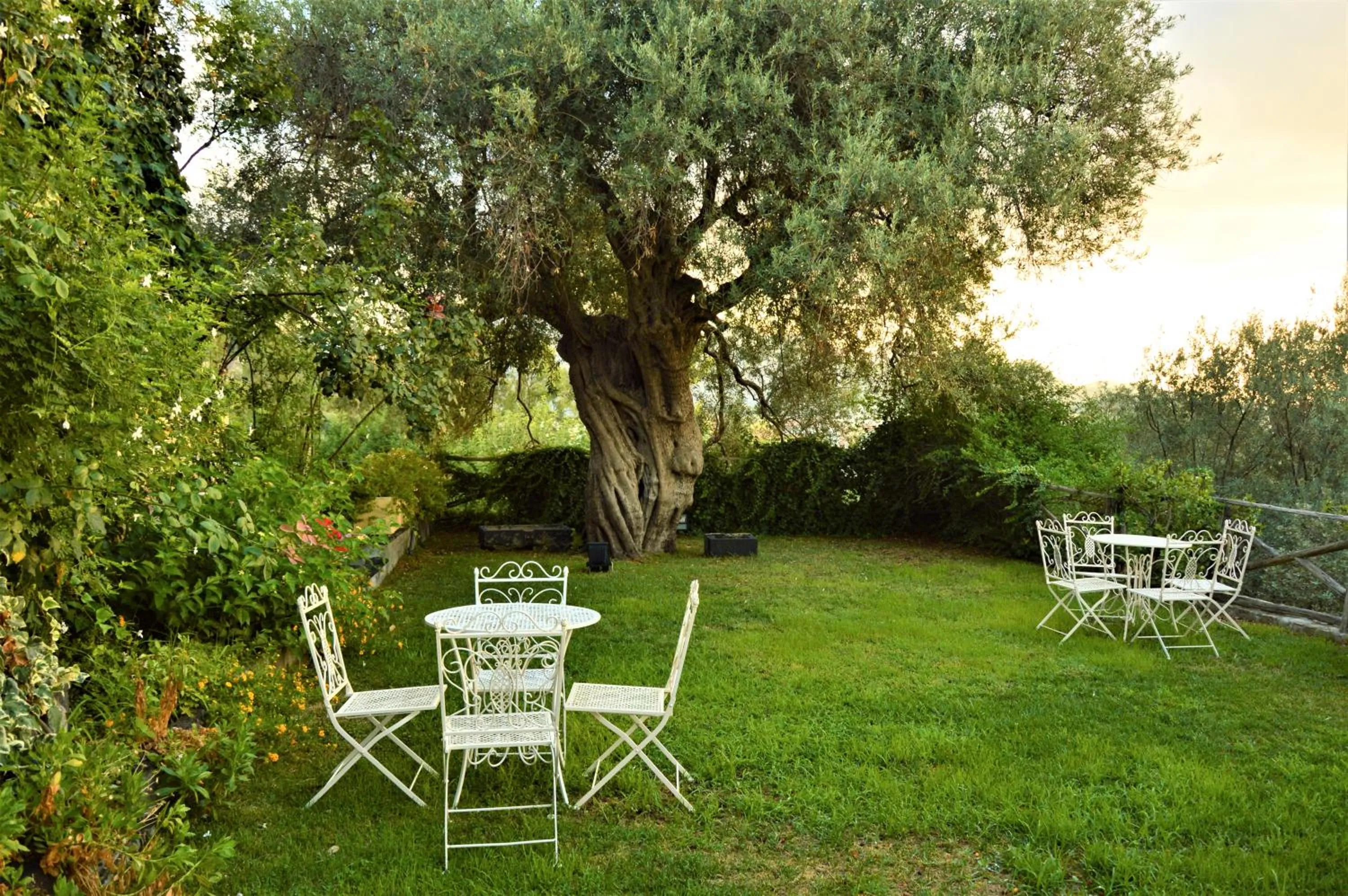 Garden in Antico Borgo Etneo Country Hotel