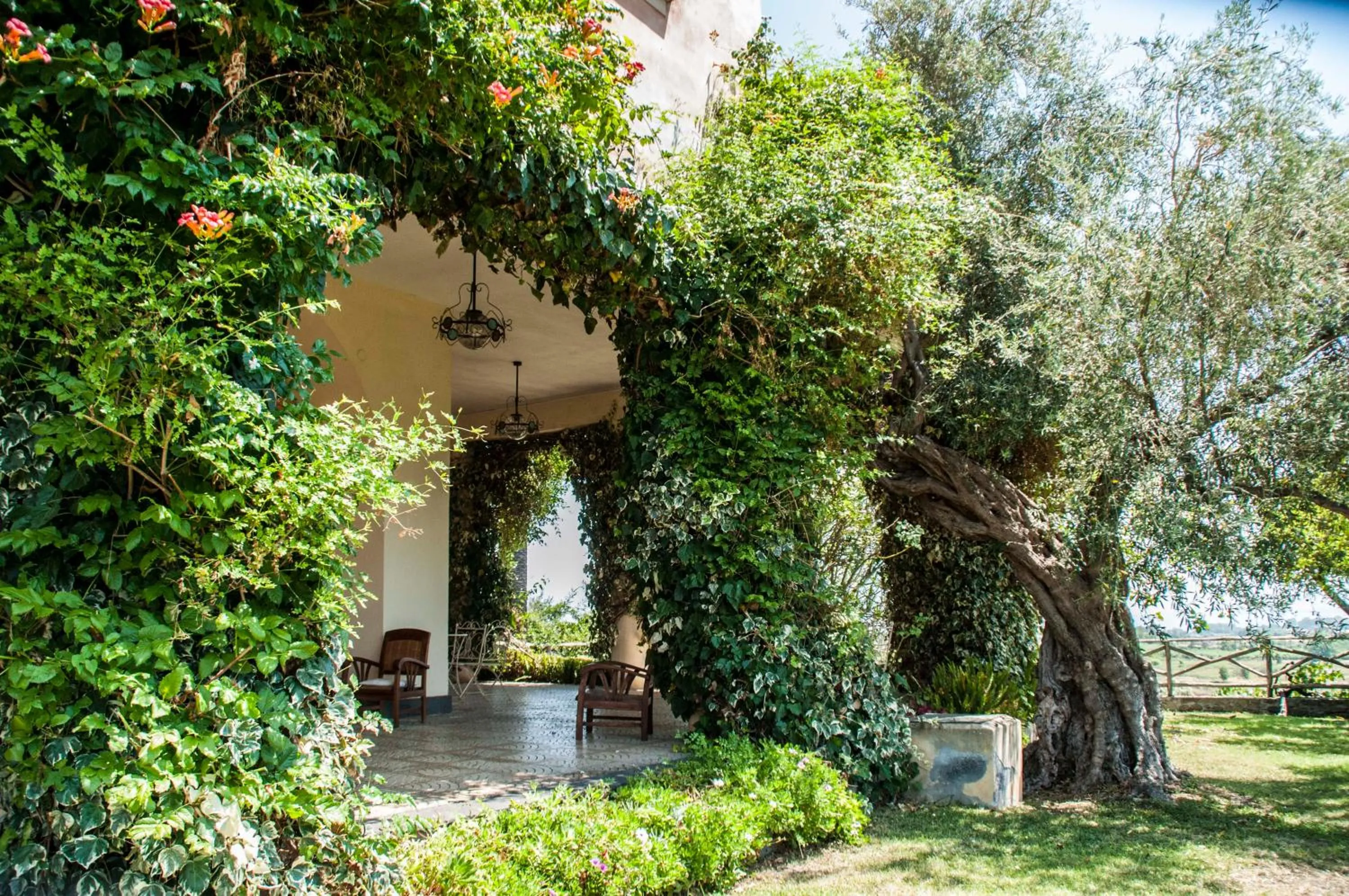 Garden in Antico Borgo Etneo Country Hotel