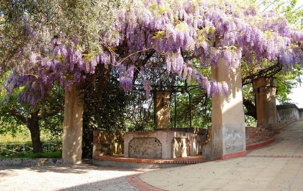 Garden in Antico Borgo Etneo Country Hotel