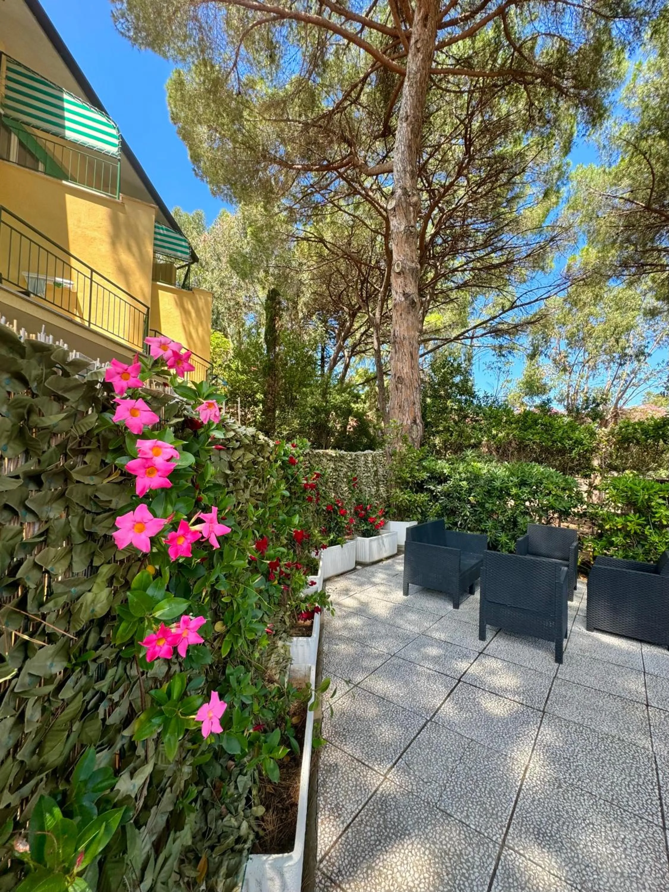 Garden in Hotel Monna Lisa