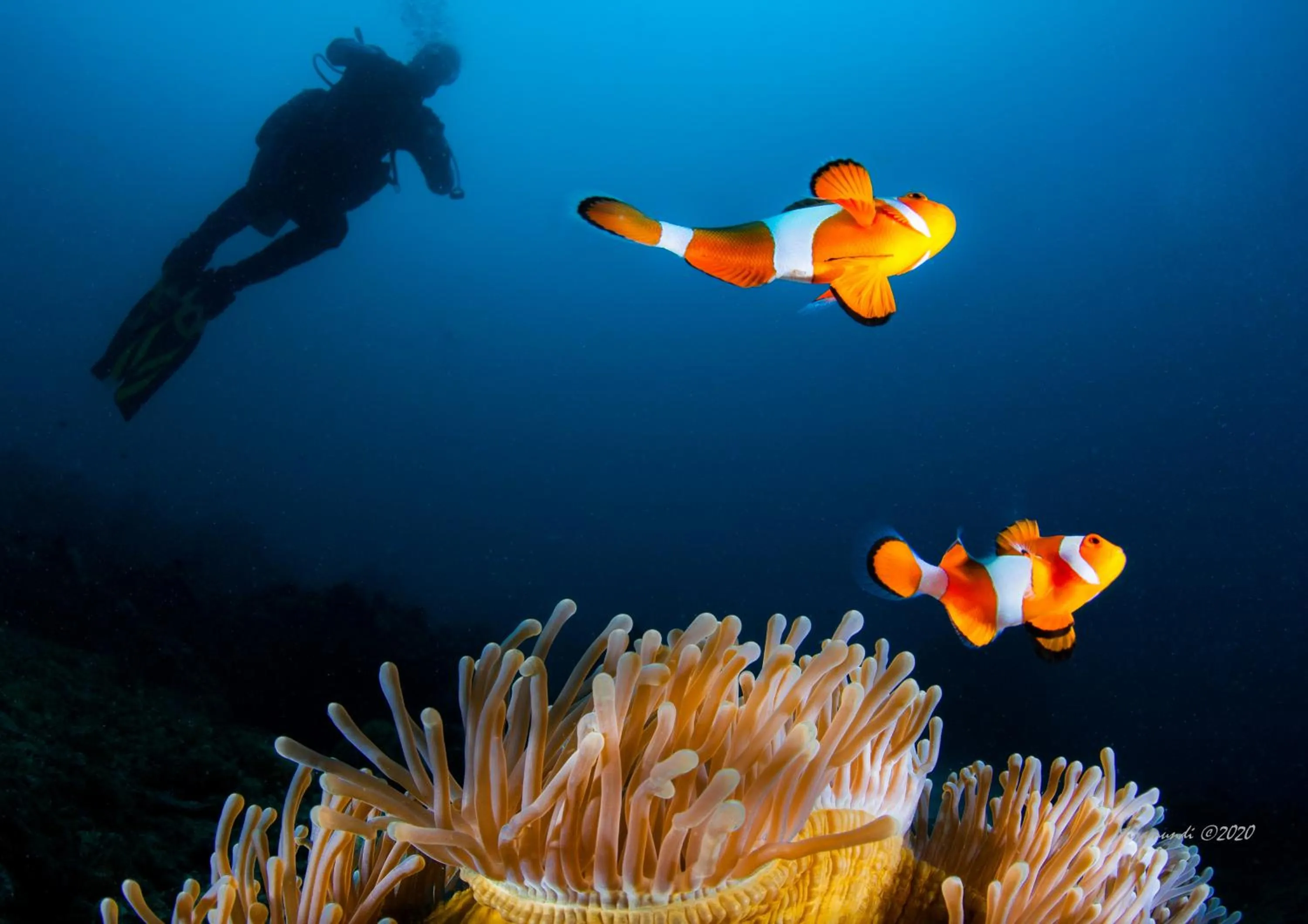 Natural landscape in Casalay Boutique Villas & Dive