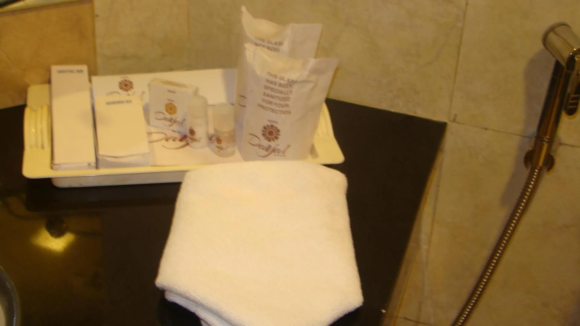 Bathroom in Hotel Dayal