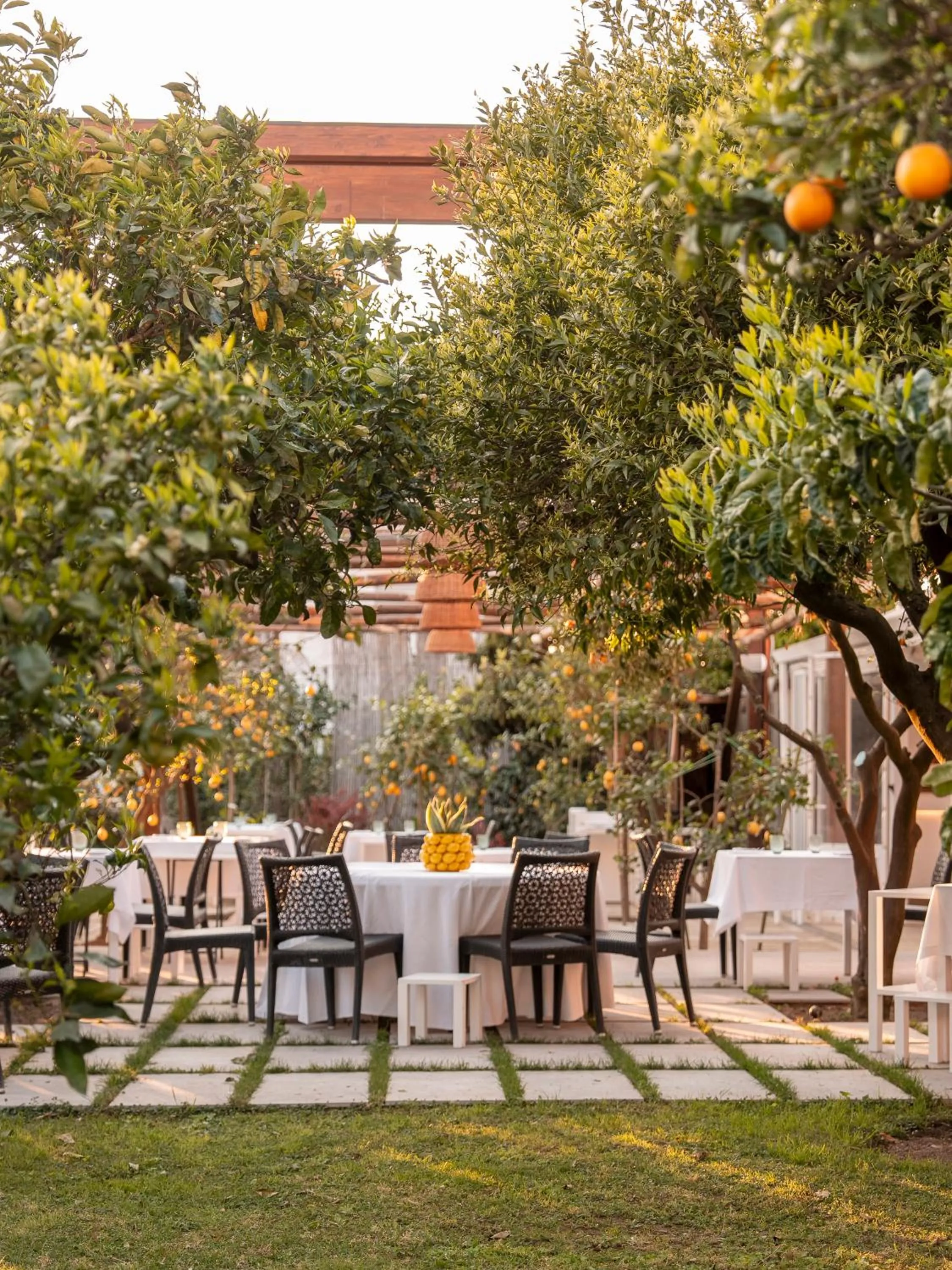 Restaurant/places to eat in Boutique Hotel Casa Mariantonia