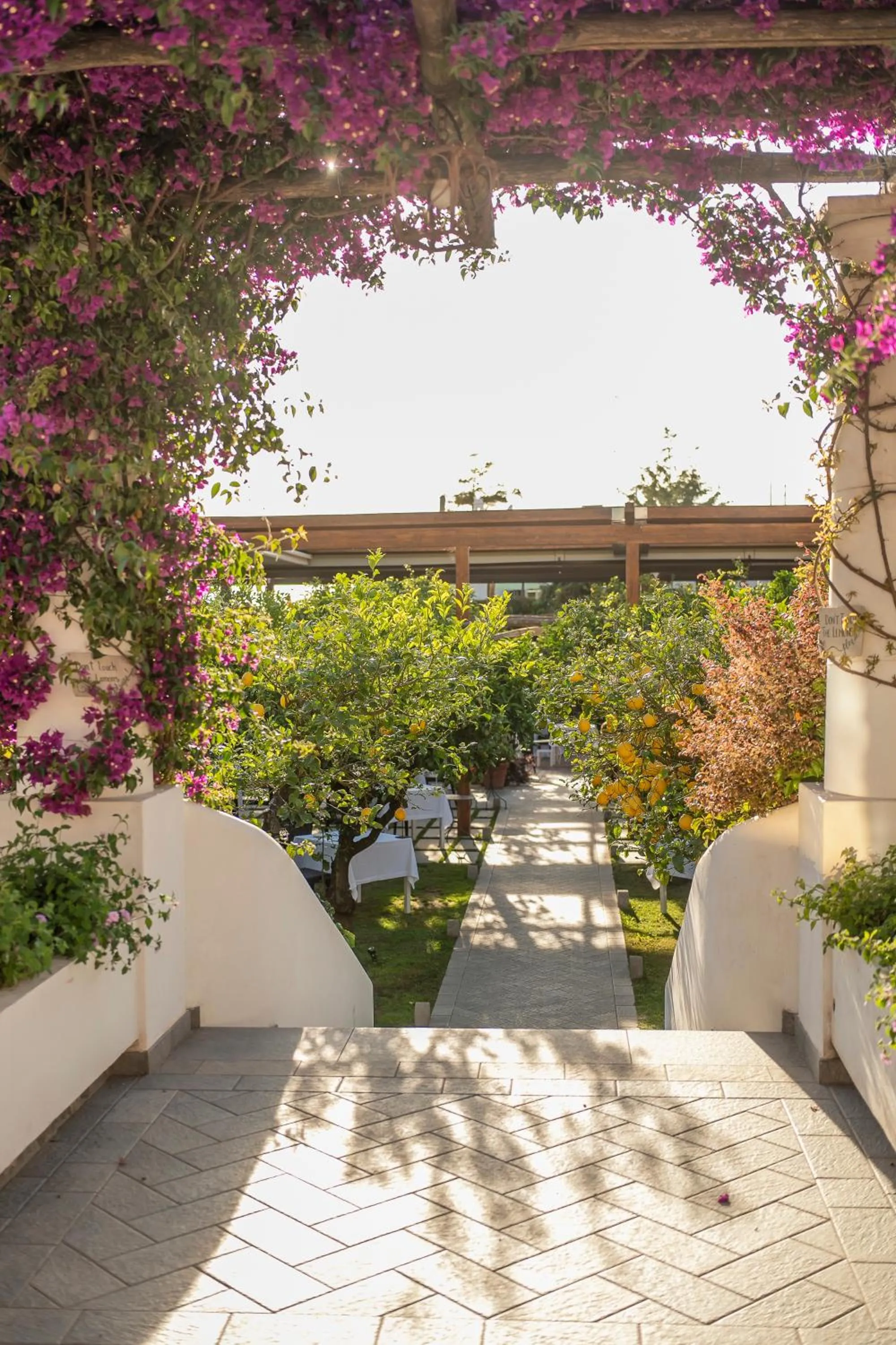 Restaurant/places to eat in Boutique Hotel Casa Mariantonia