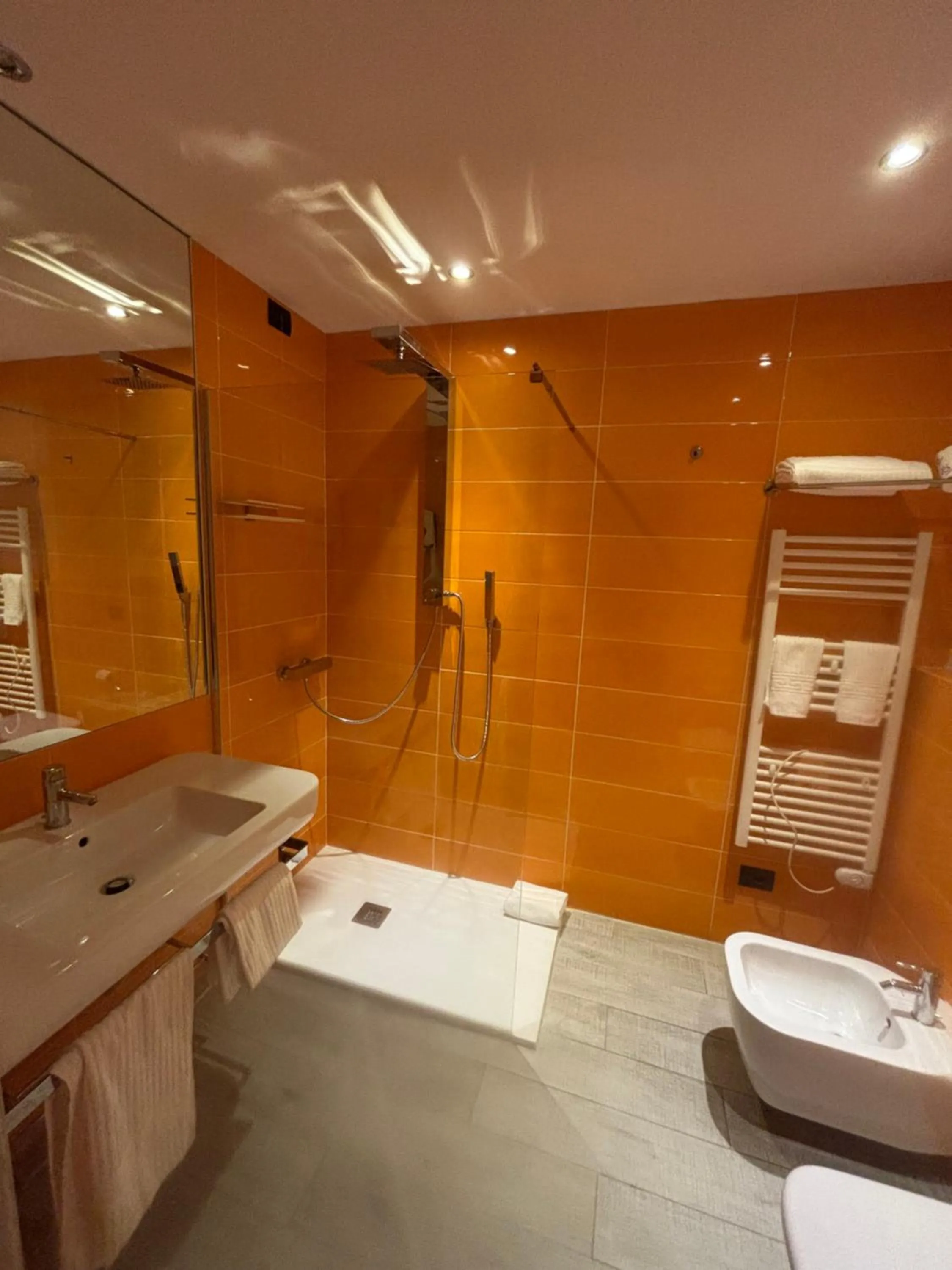 Shower in Blue Shades Hotel