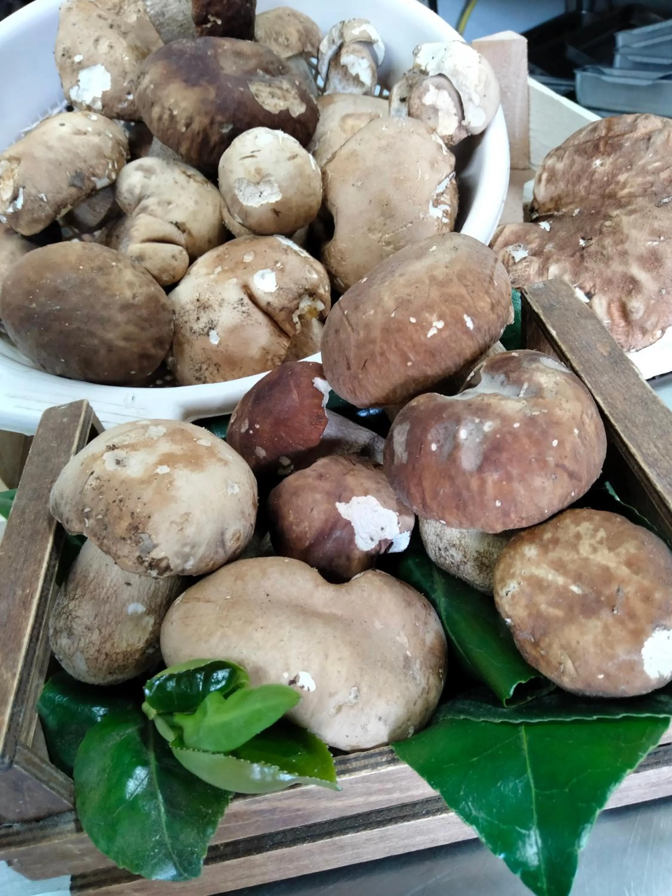 Food in Hotel Ristorante Caligiuri