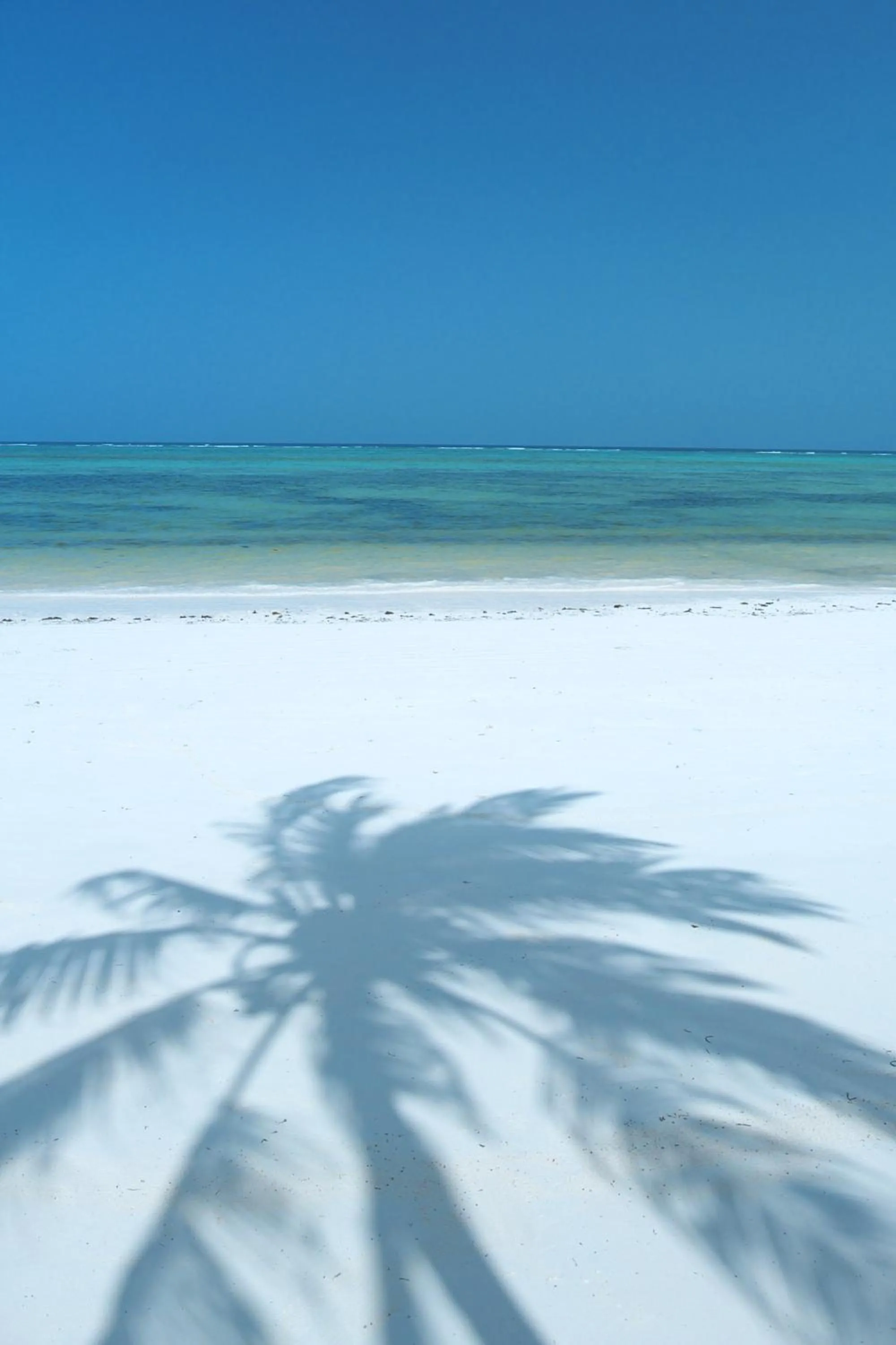 View (from property/room) in The Palms Zanzibar