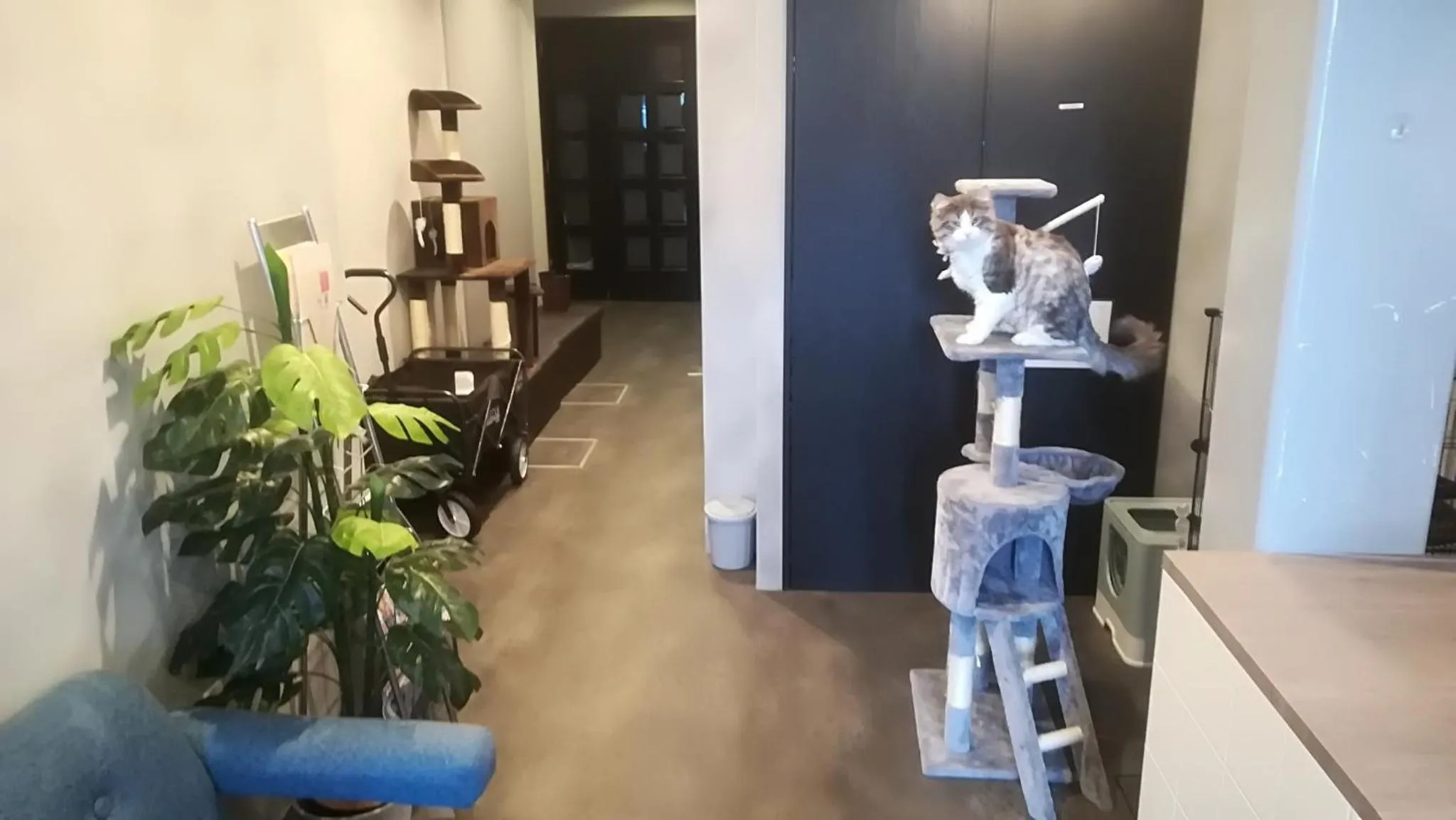 COTE sakuragawa "Room 201,301,401" - Vacation STAY 03148v