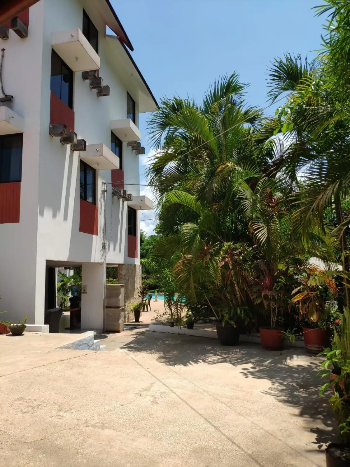 Garden in Hotel Cañada Internacional