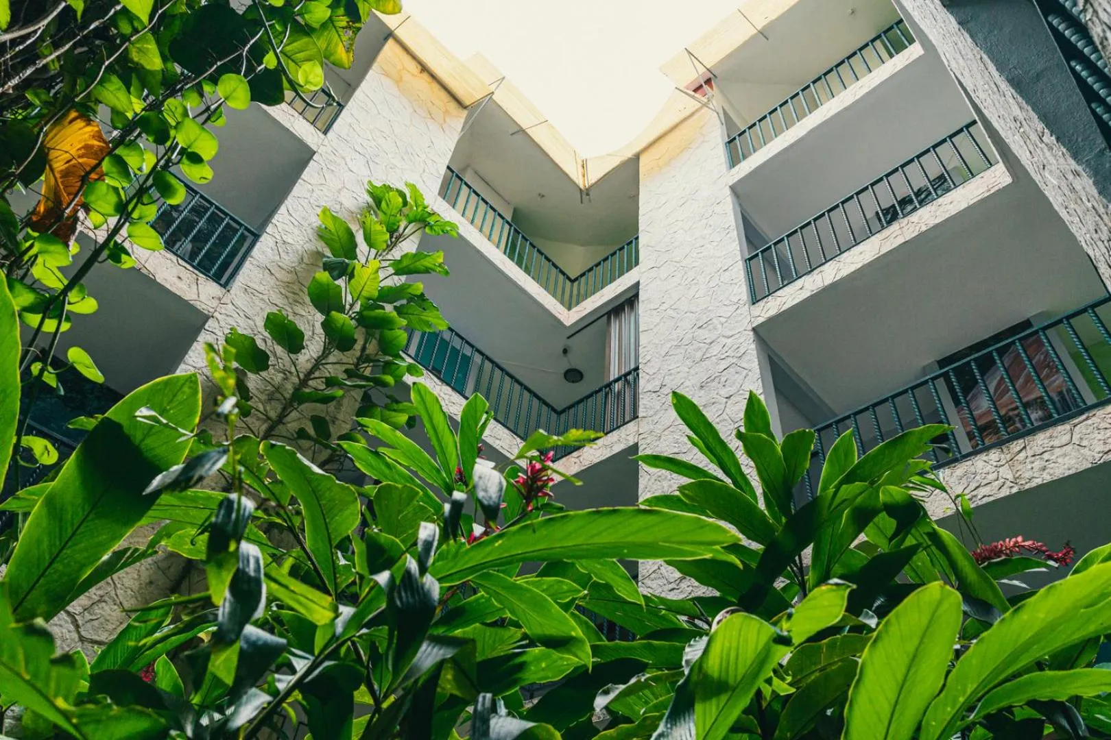 Property building in Hotel Cañada Internacional